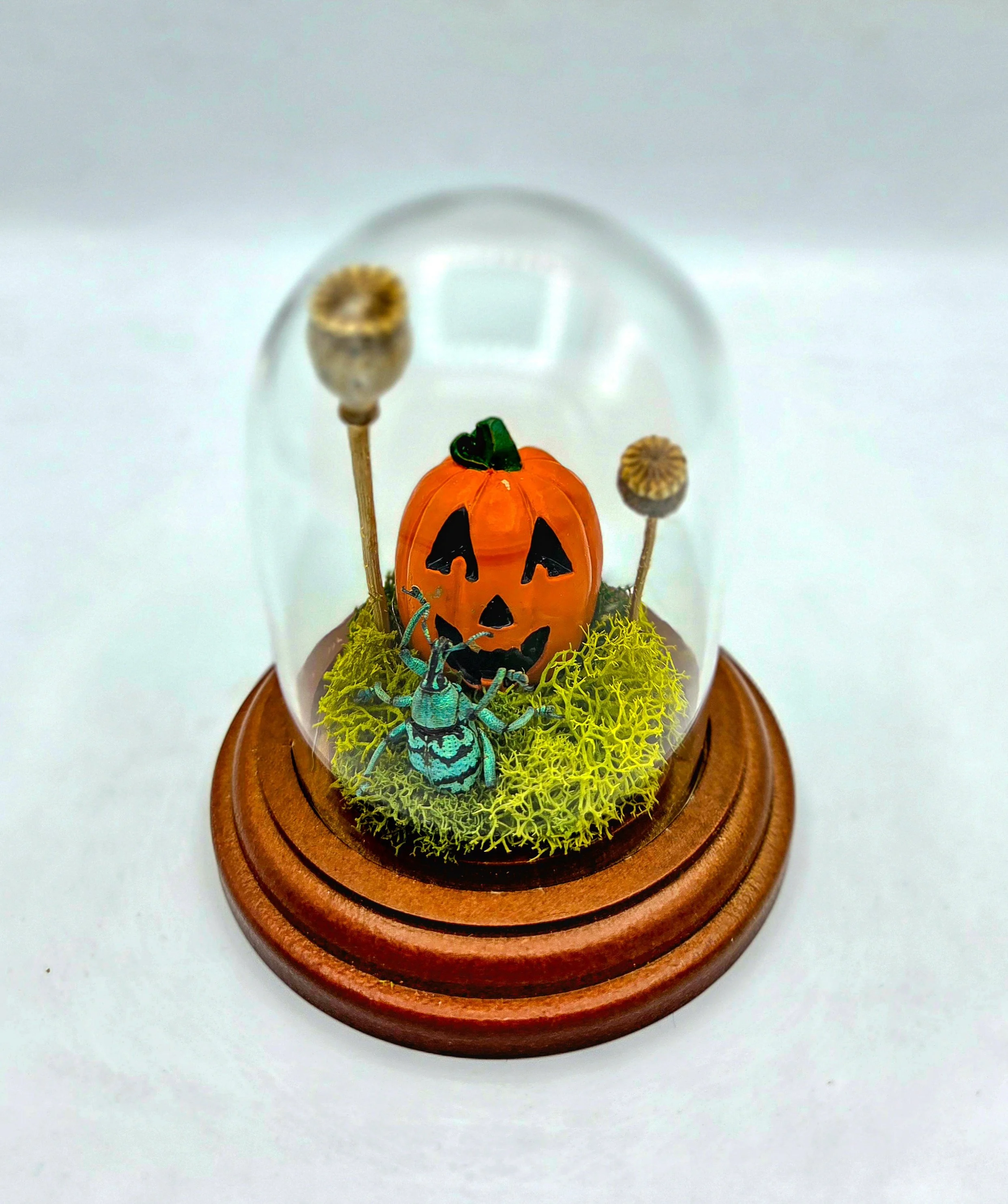 Trick or Treat! - Handmade Insect Diorama