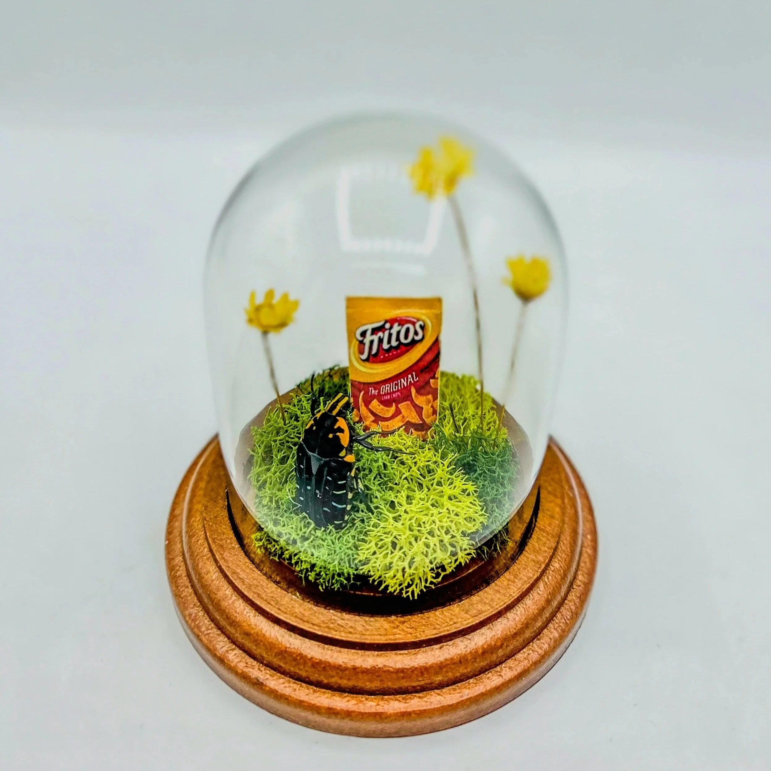 Snack Attack - Handmade Insect Diorama