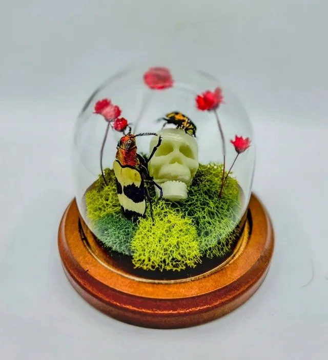 I Need Your Skull (GLOWS IN THE DARK!) - Handmade Insect Diorama