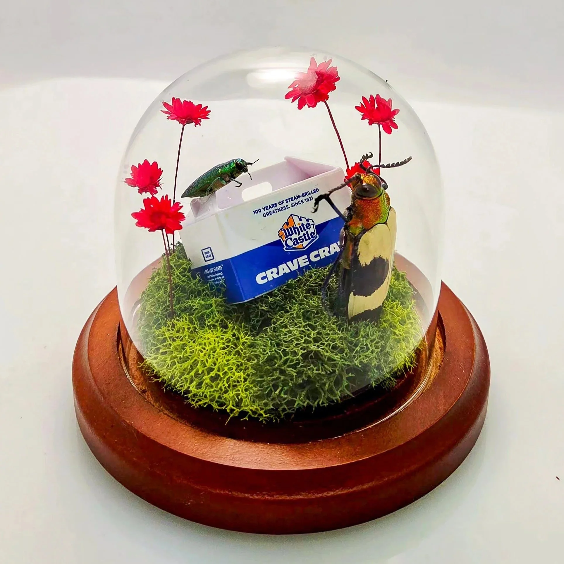 What You Crave - Handmade Insect Diorama