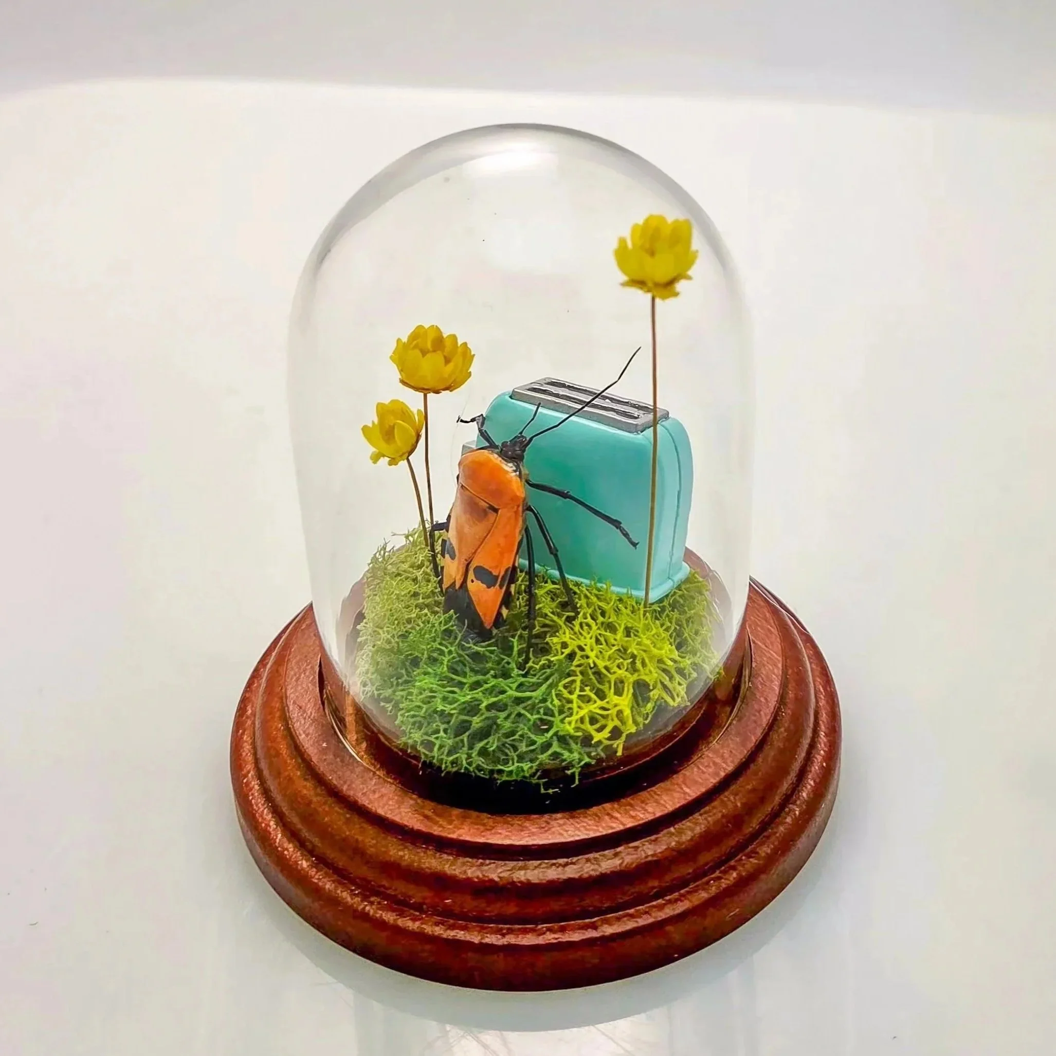 Lightly toasted, please - Handmade Insect Diorama