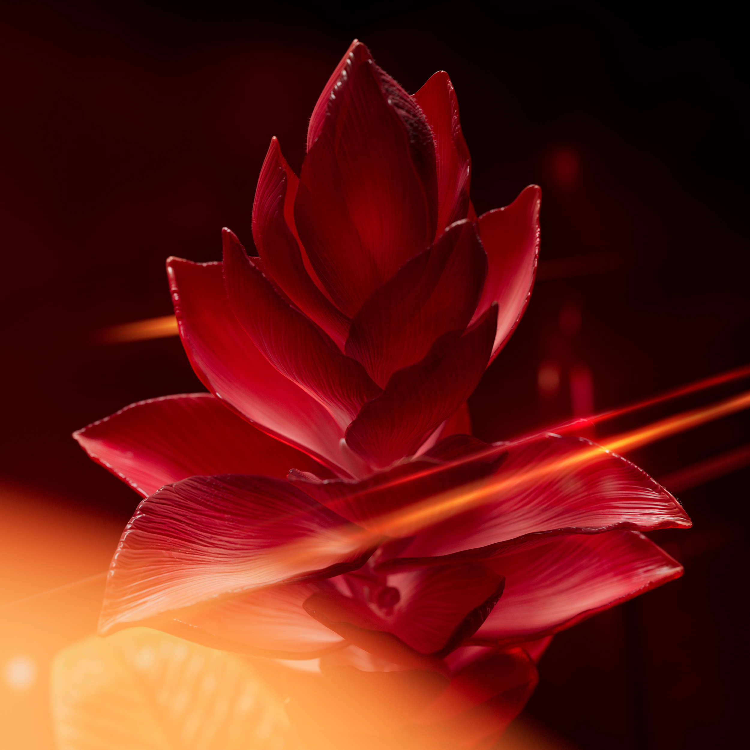 Ralph Lauren // Polo Red Extreme // 2026