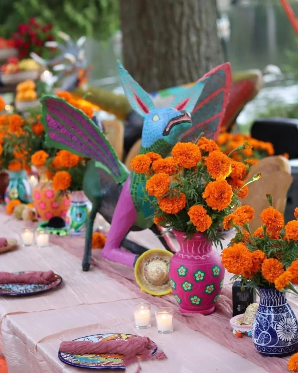 WhatsApp Image 2026-04-04 at 22.20.46.jpeg