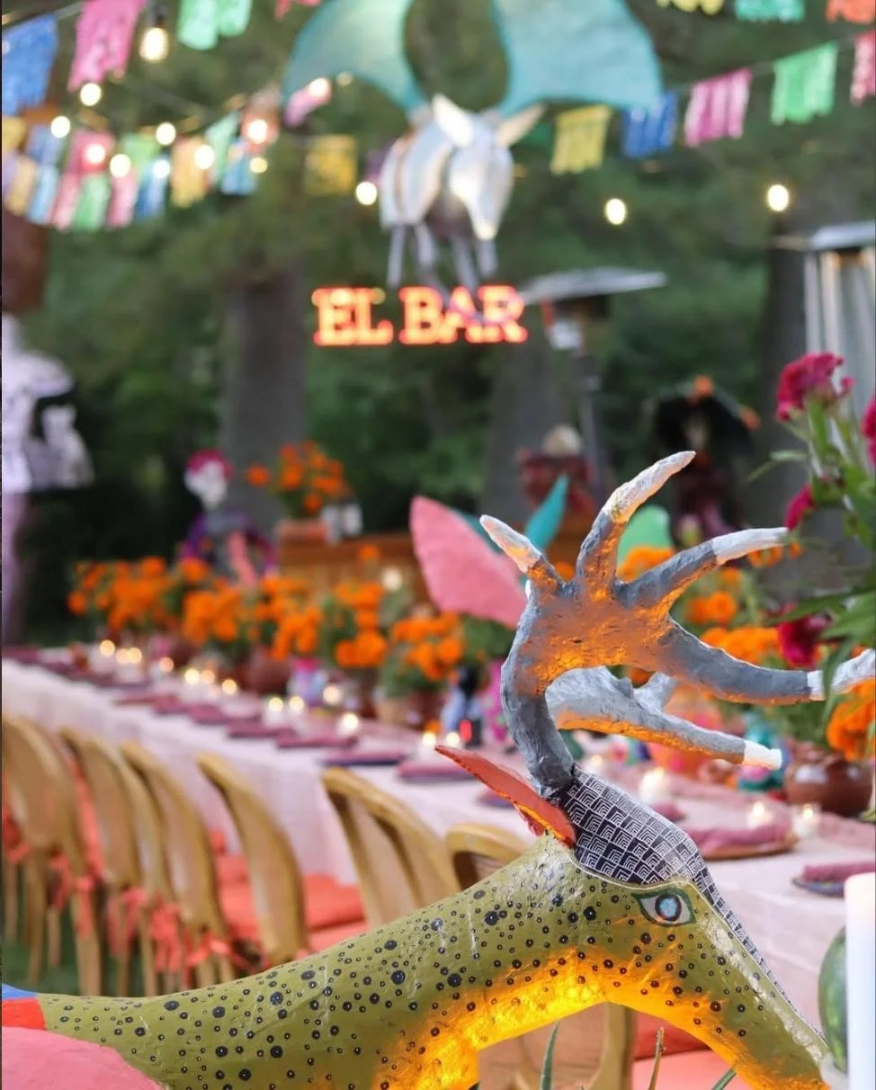 WhatsApp Image 2026-04-04 at 22.20.46 (3).jpeg