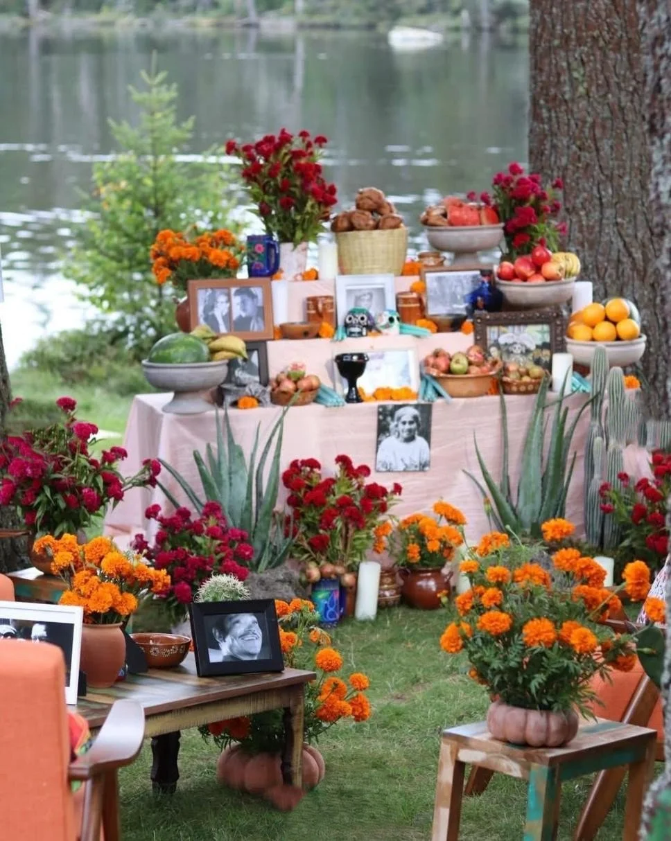 WhatsApp Image 2026-04-04 at 22.20.46 (2).jpeg