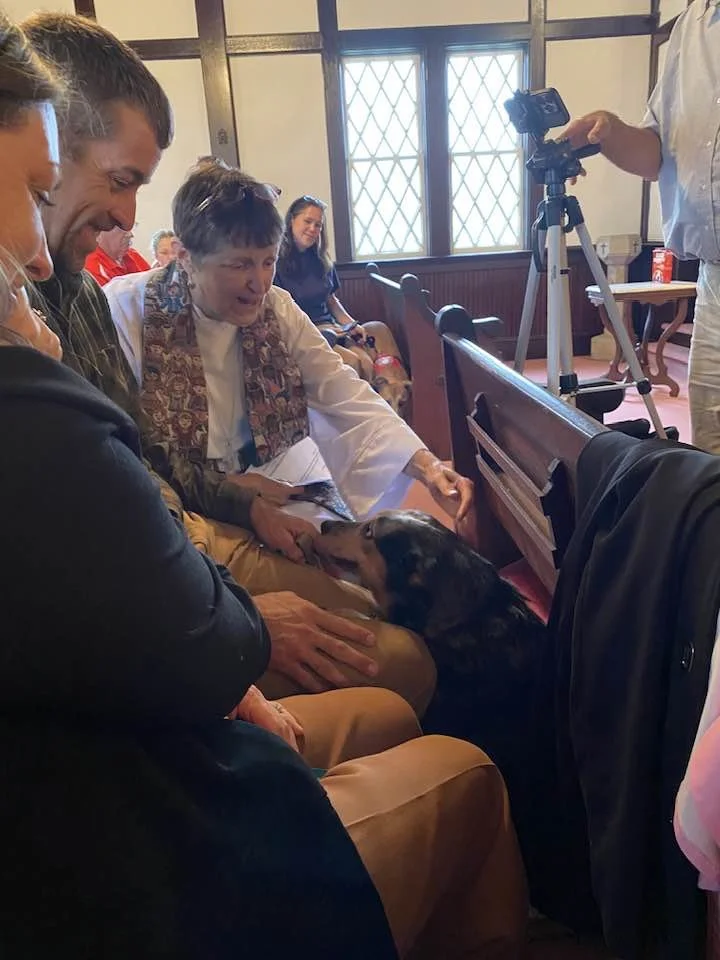 blessing of the animal.jpg