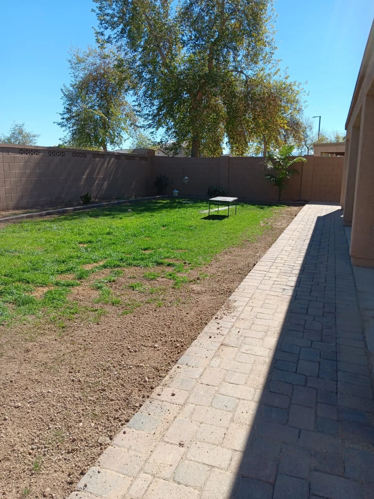 A backyard with a grass lawn, a small table, a fenced perimeter, and trees under a clear blue sky.