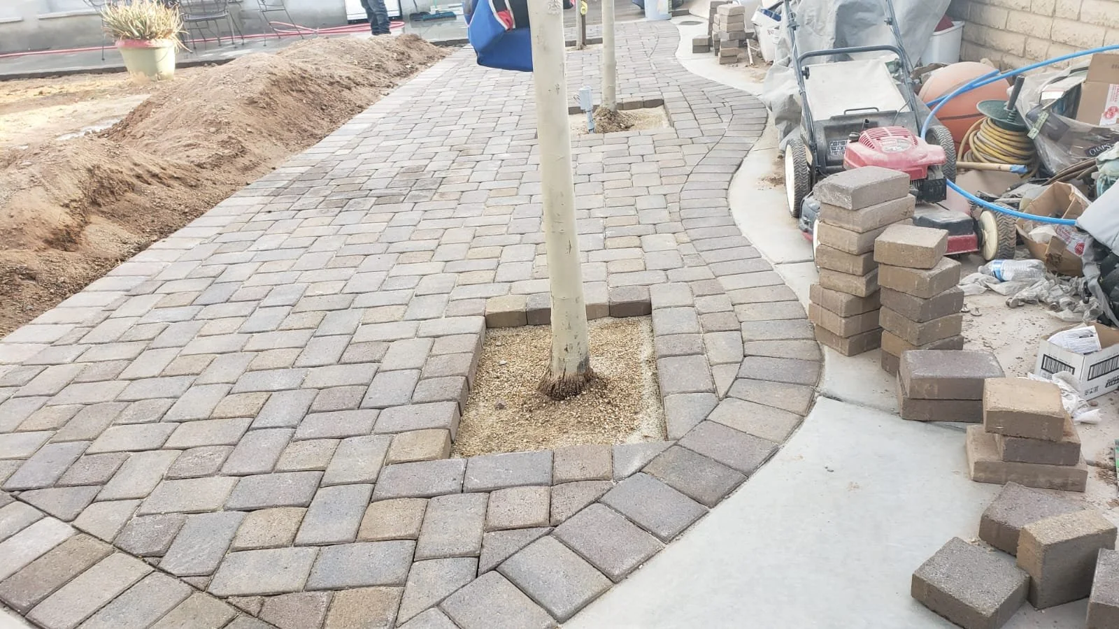 A curved brick walkway under construction, with bricks laid around a young tree, construction tools, and paving materials nearby.
