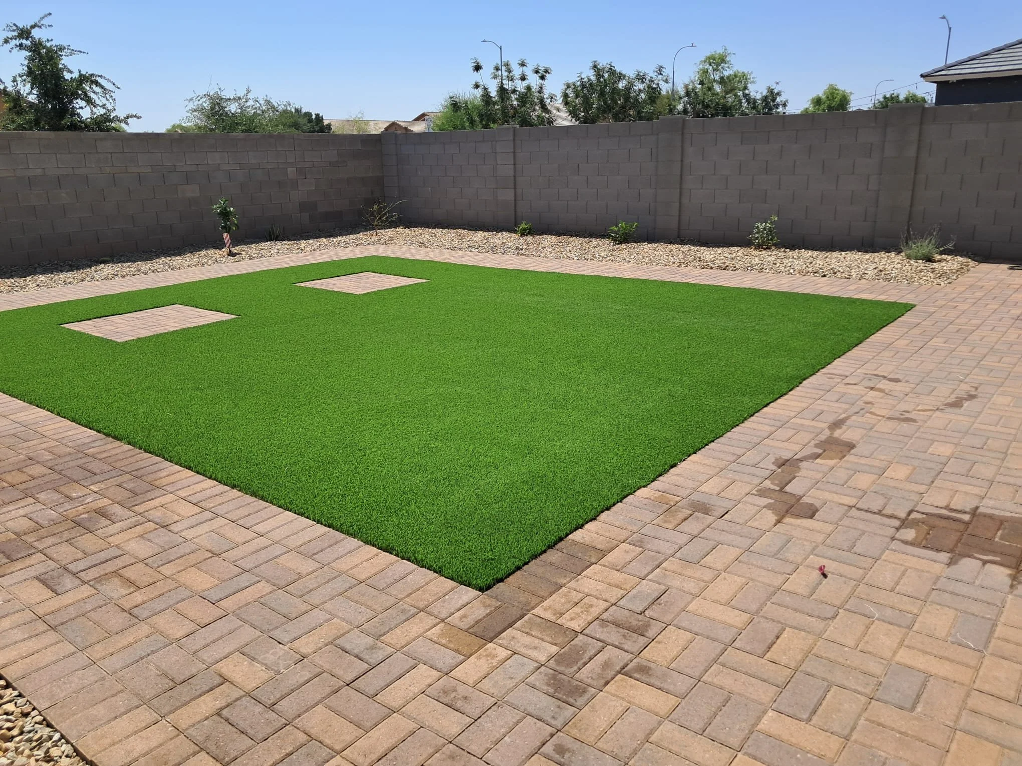 A backyard with a small lawn, brick pavers, a concrete block wall, and a few small plants.