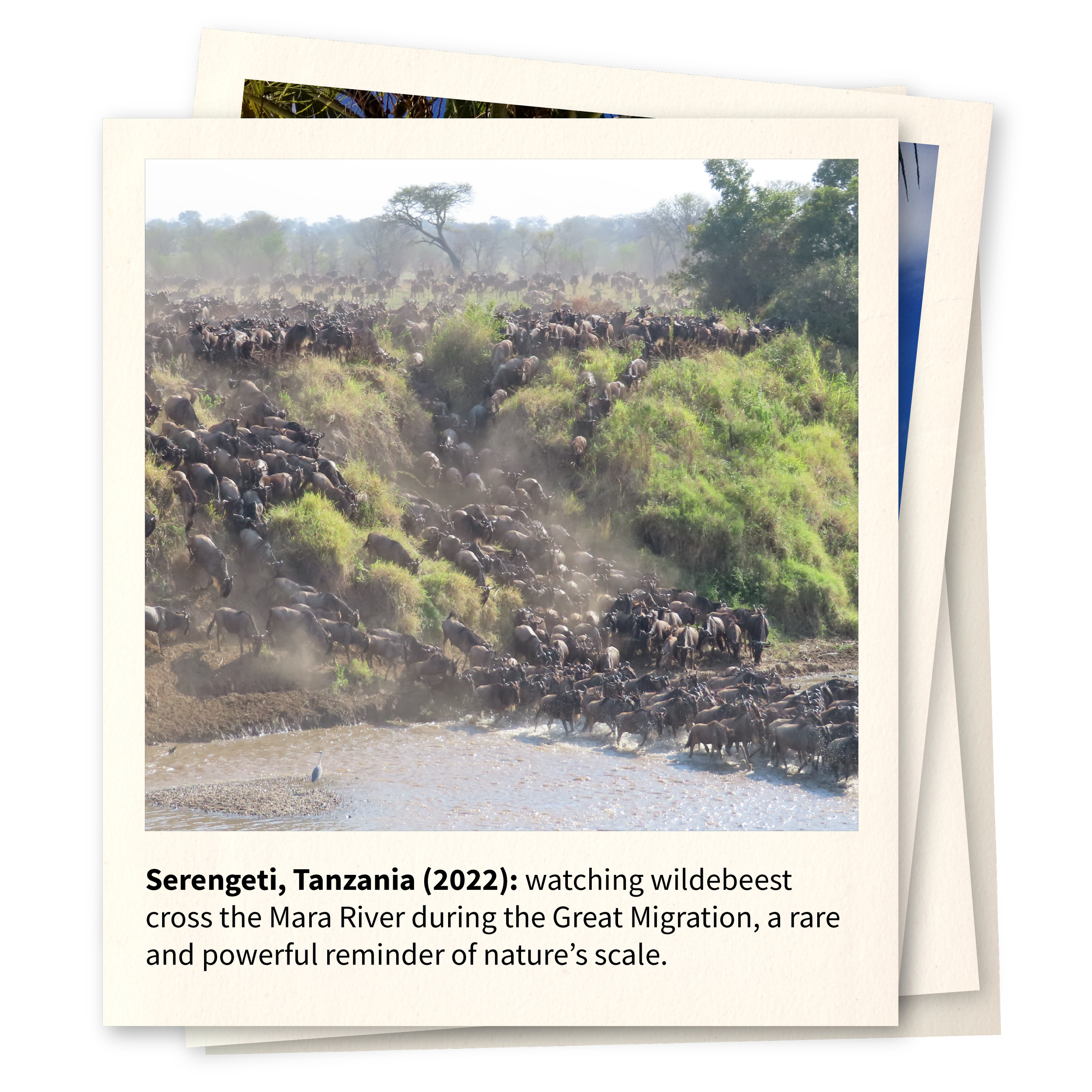 Serengeti, Tanzania (2022)