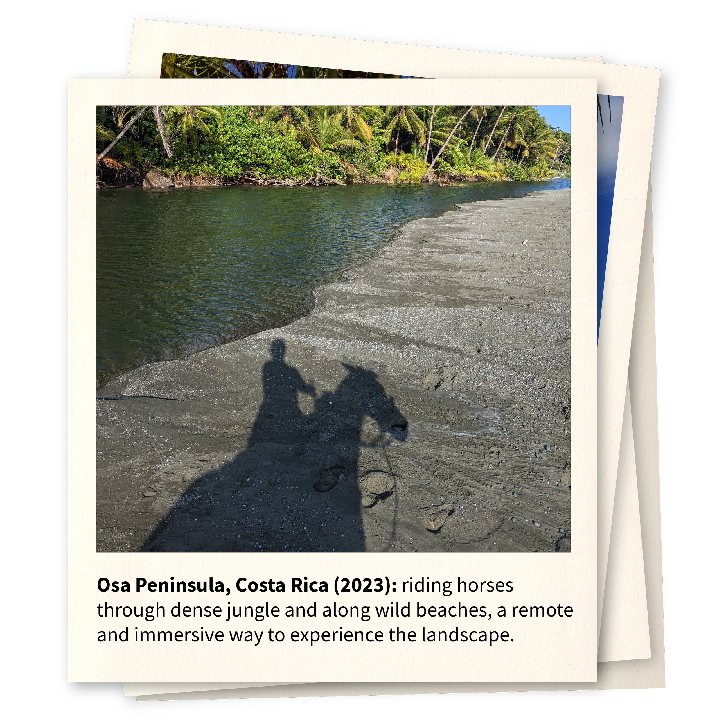 Osa Peninsula, Costa Rica (2023)