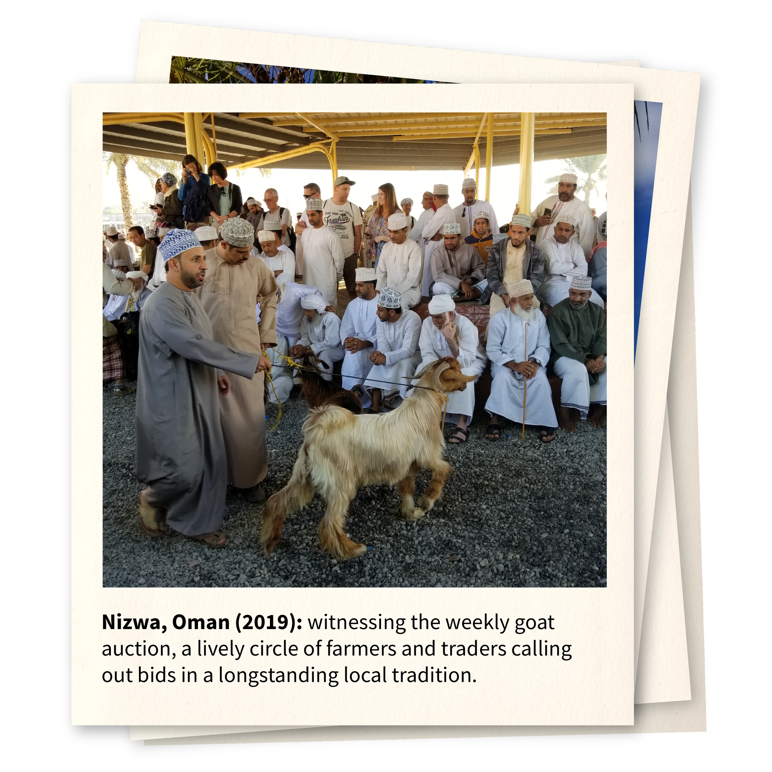 Nizwa, Oman (2019): 