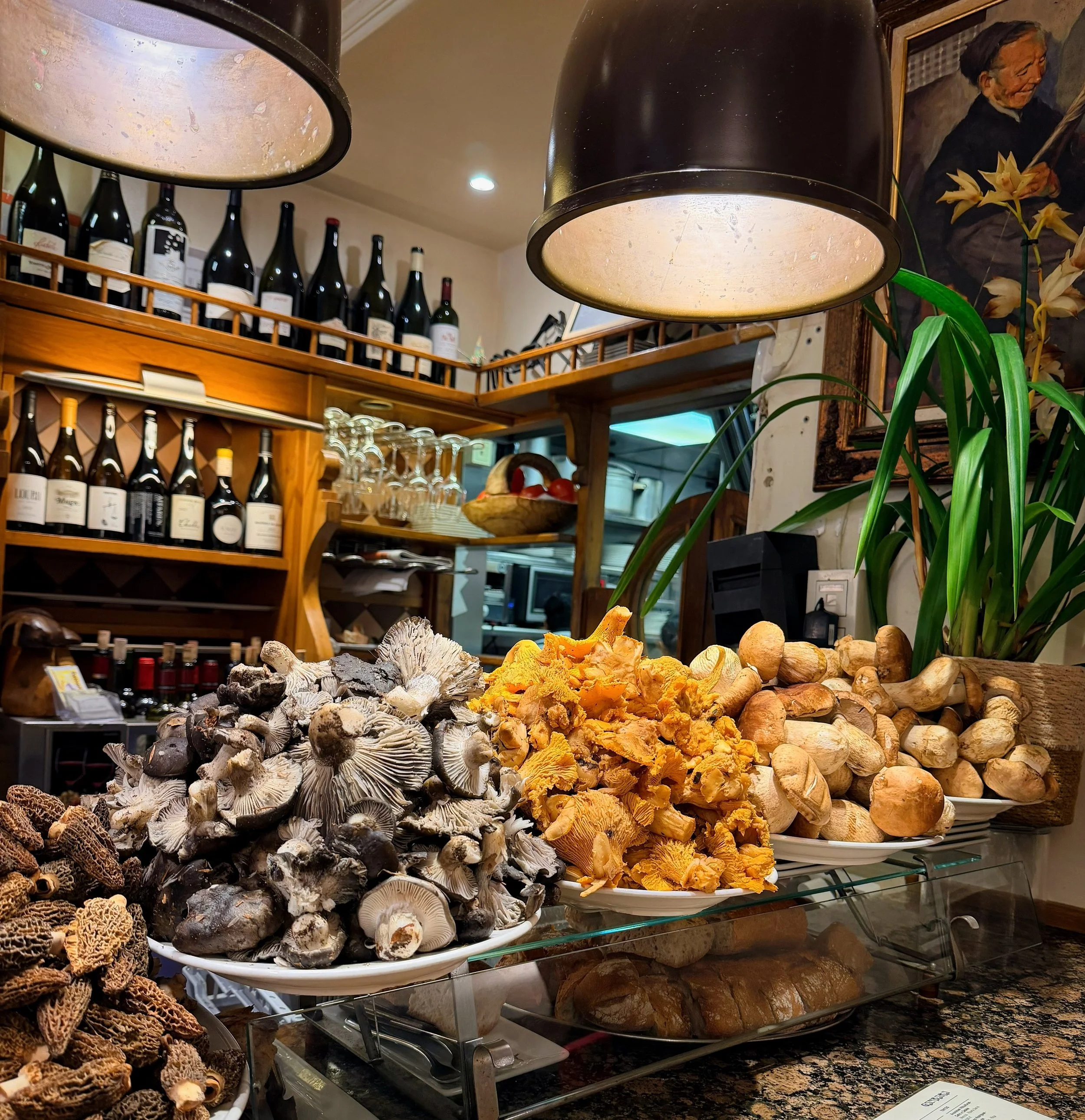 Ganbara, San Sebastián