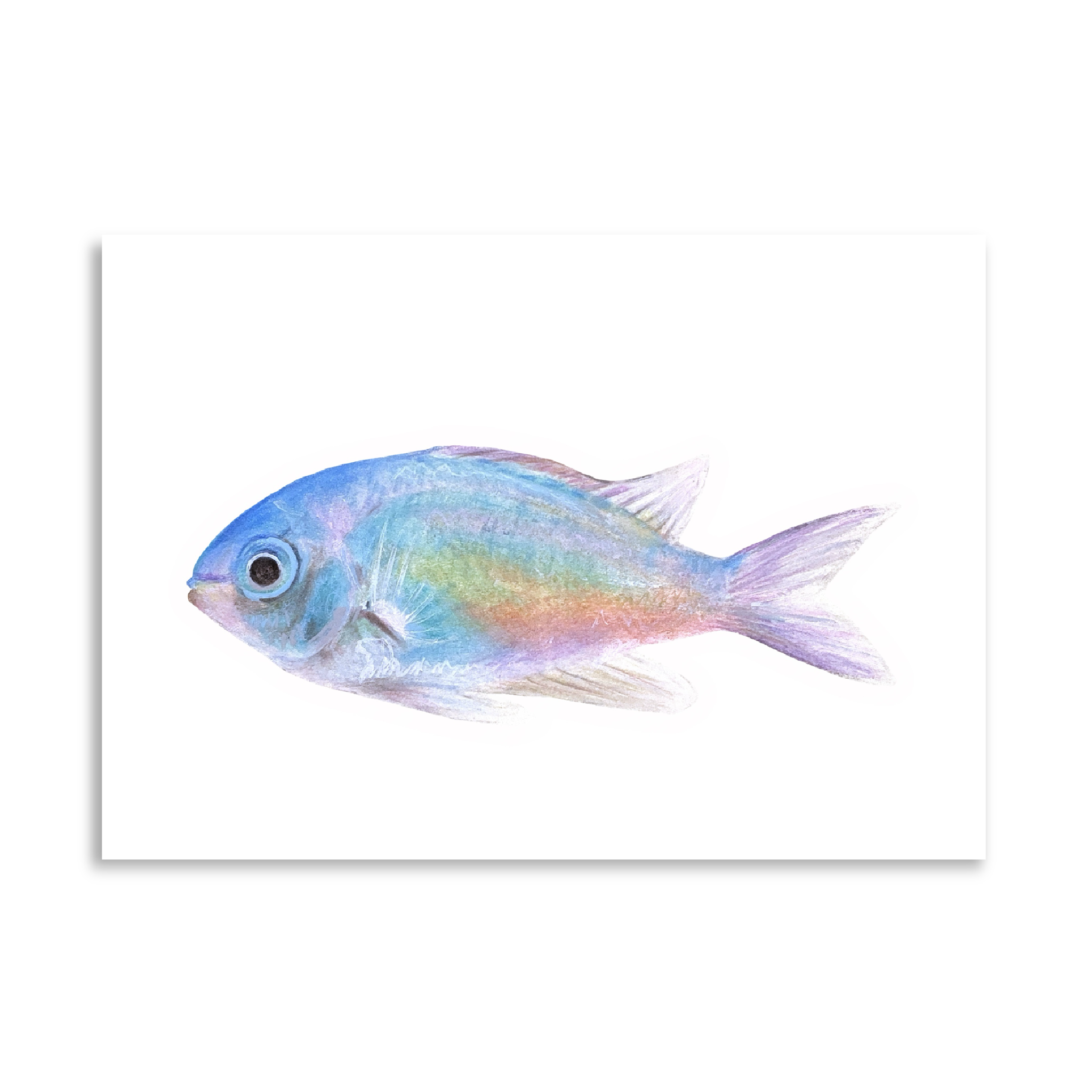 Blue Fish Print