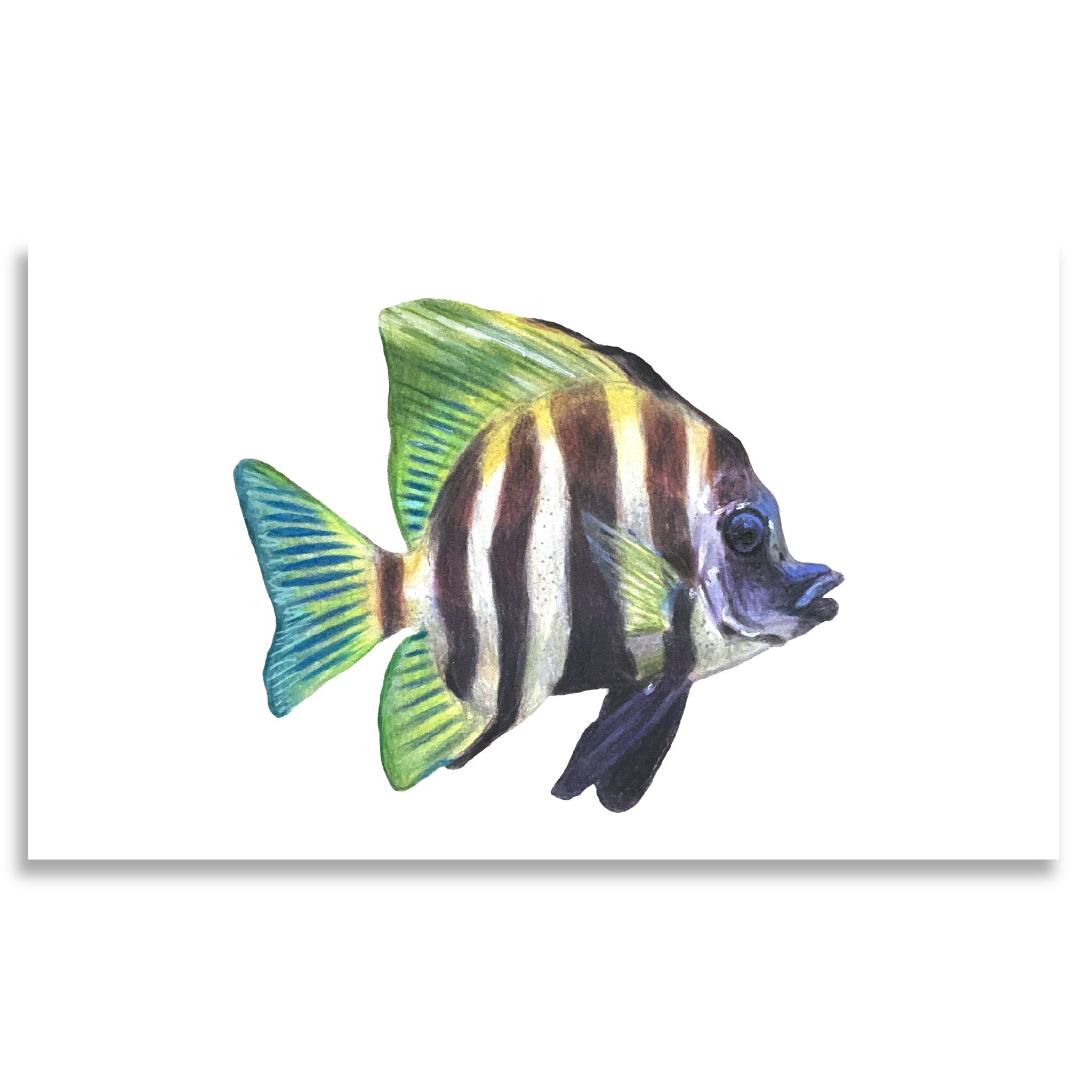 Green Fish Print