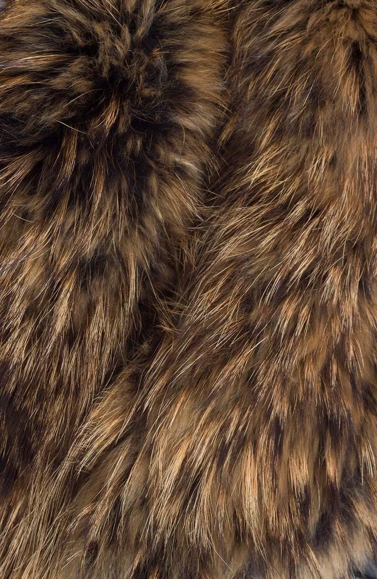 Close-up of brown and black fur with a mix of coarse and fine hairs.