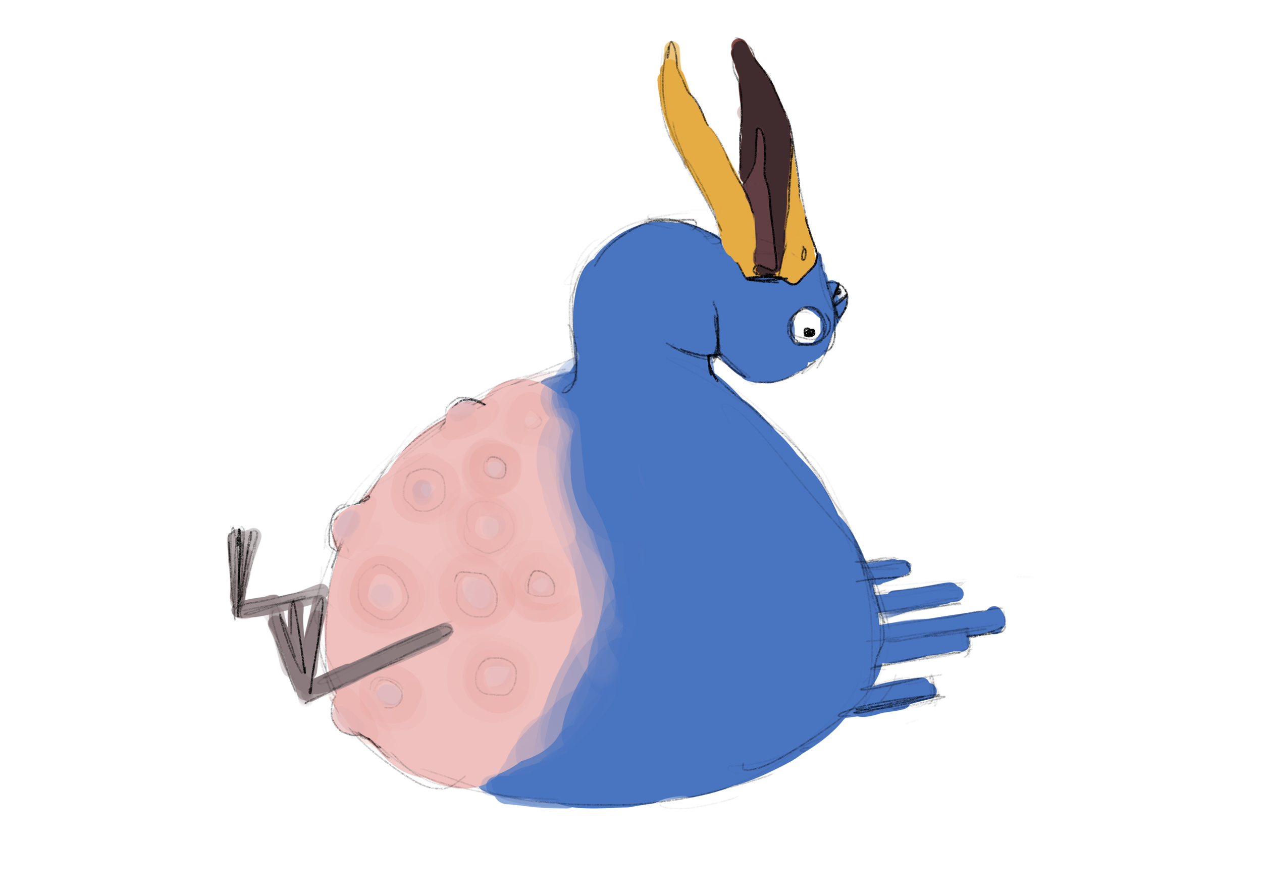 IMG_2068.PNG