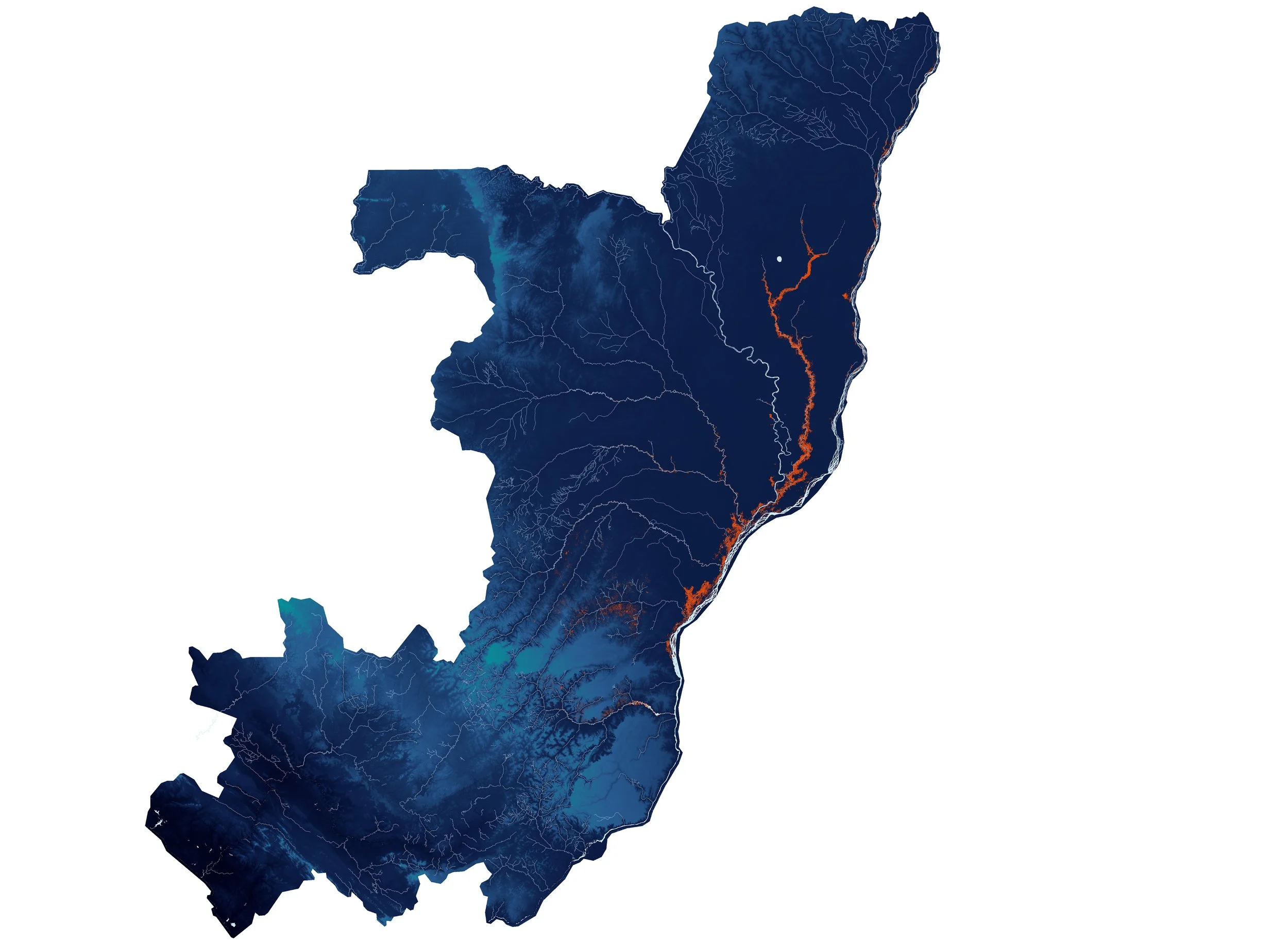 Congo_FloodedWaters_flattened.jpg