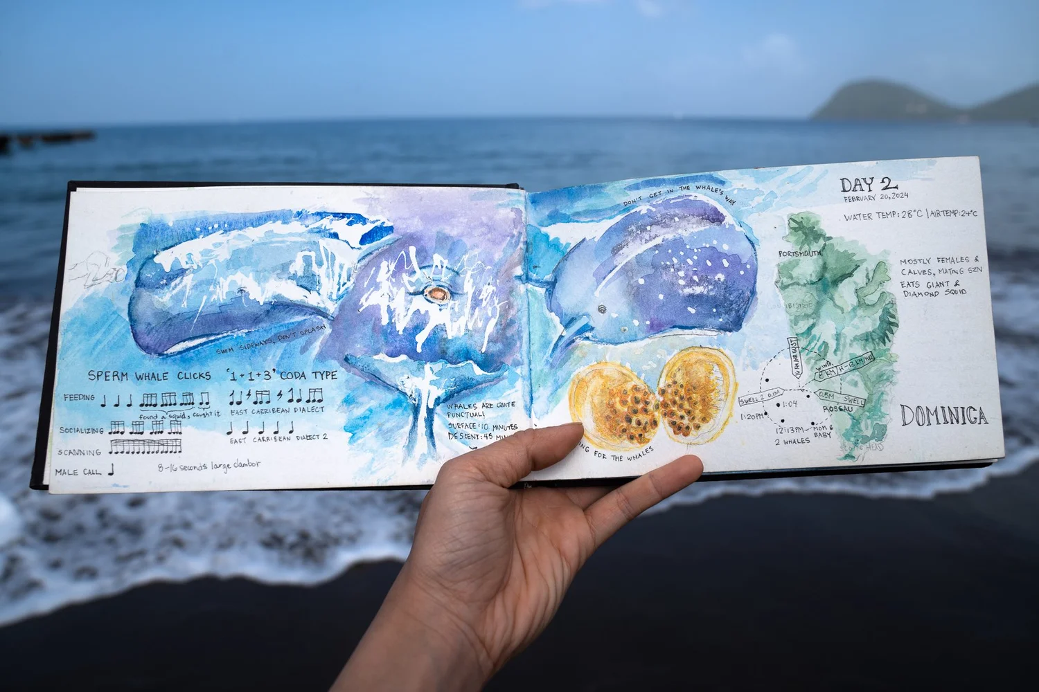 Field sketch over water