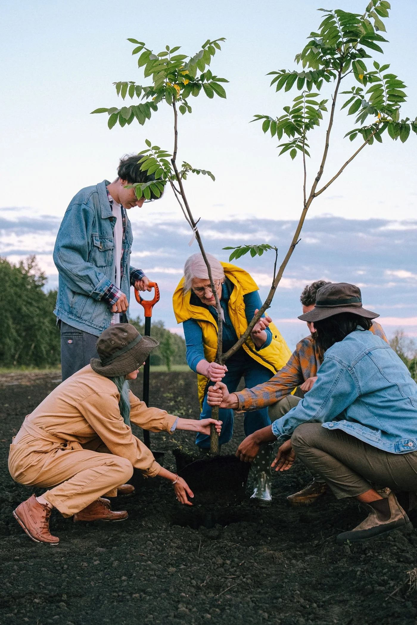 A diverse group of people planting a young tree together to support environmental sustainability and positive social impact.