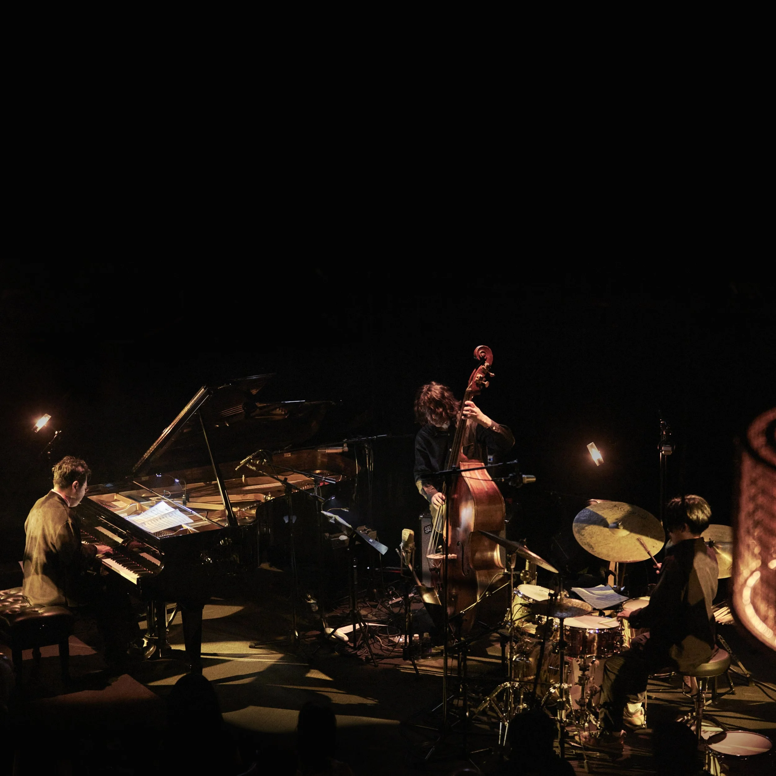 banksia trio live jacket photo1.jpg