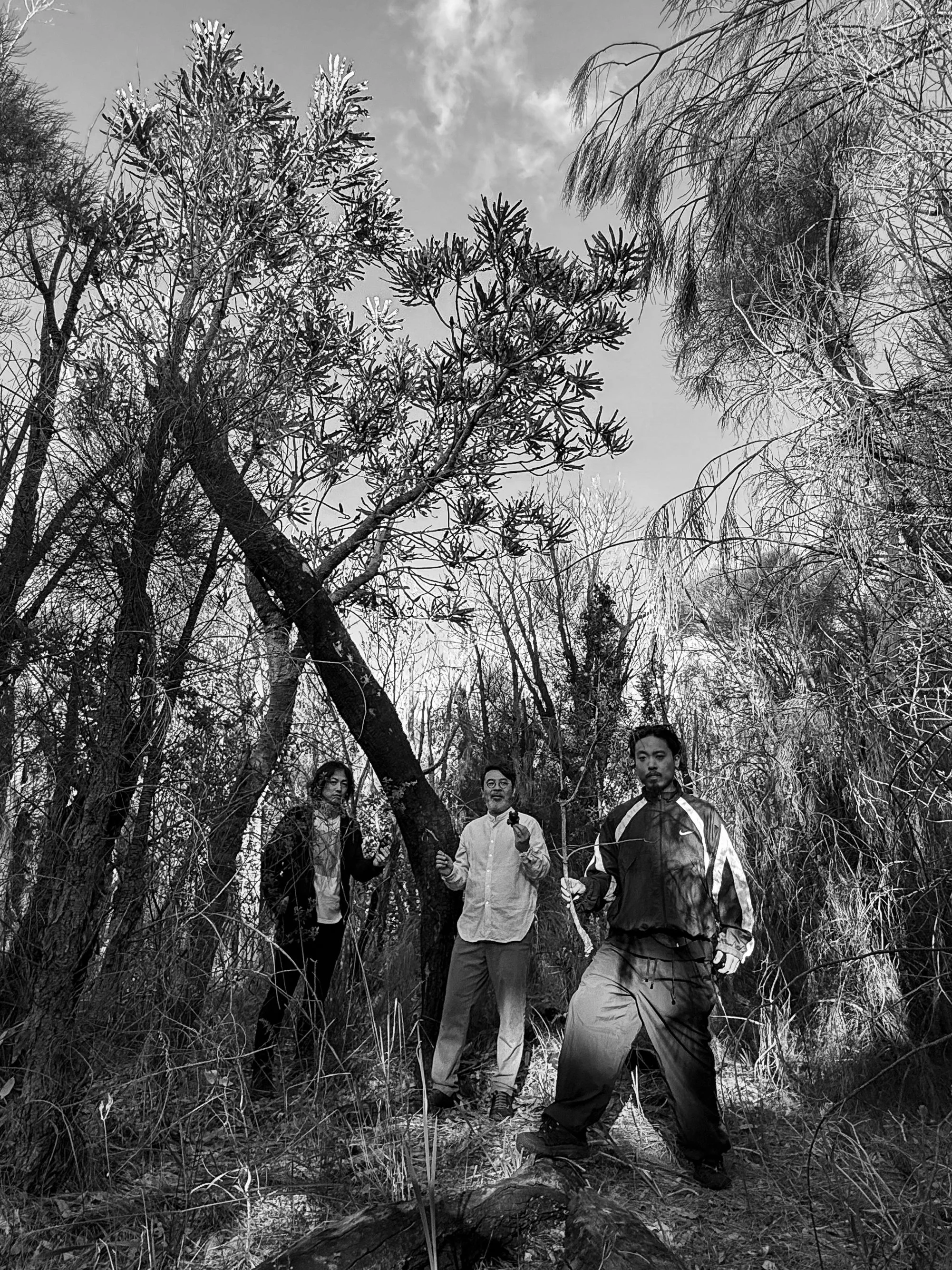 Three people standing under the banksia tree in the park outside with leafless trees, and a cloudy sky in the background.