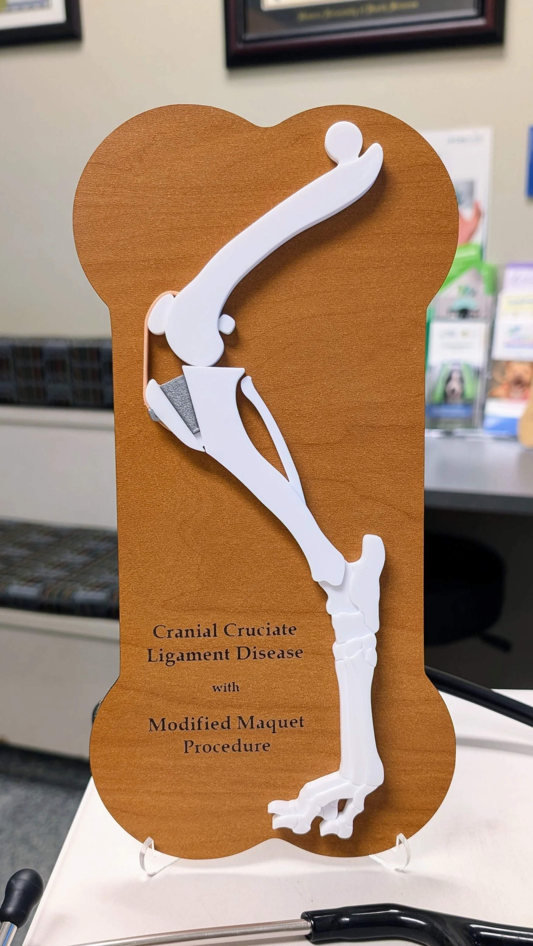 CCL/MMP Model