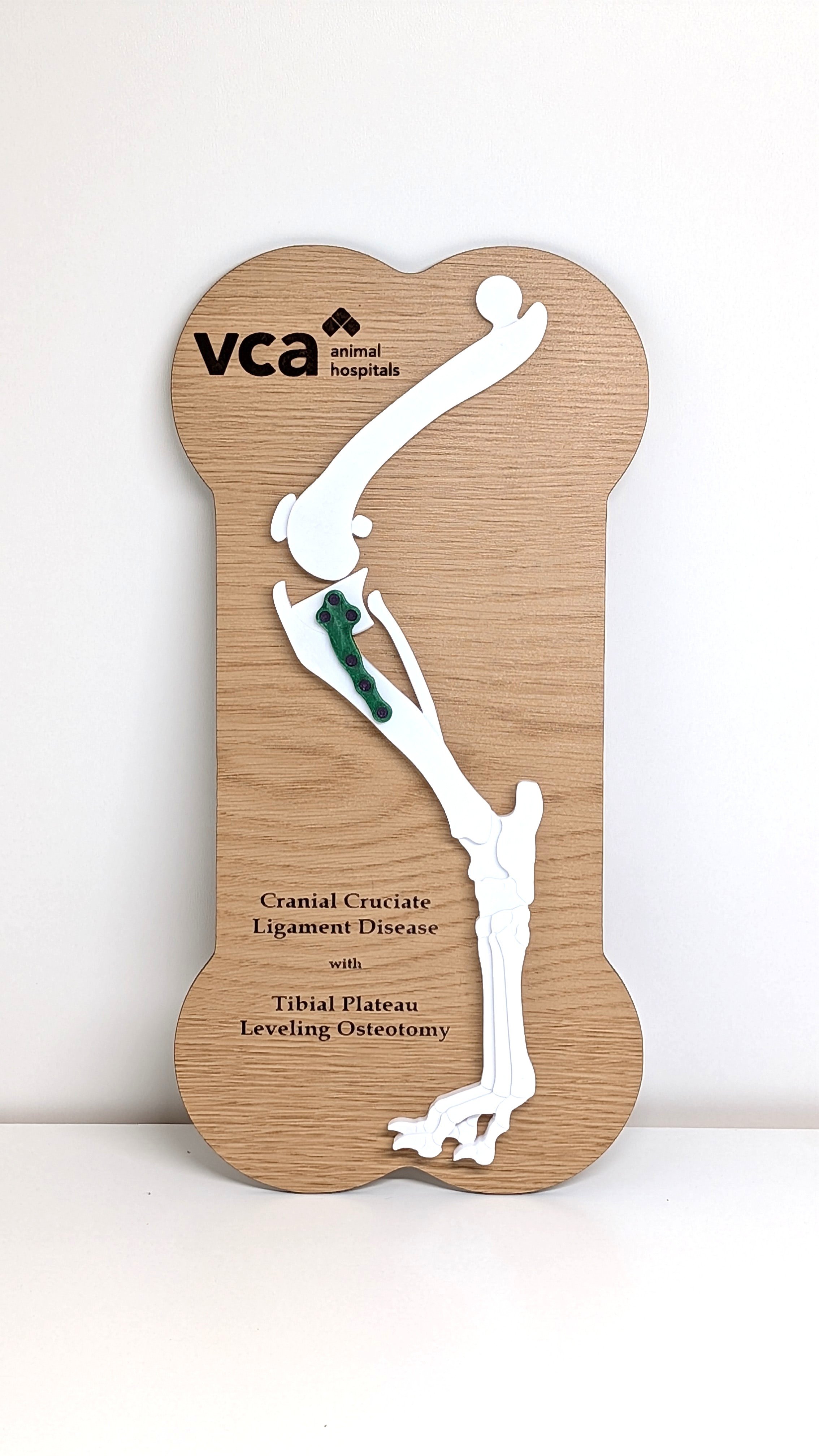 CCL/TPLO Model - Corporate Logo