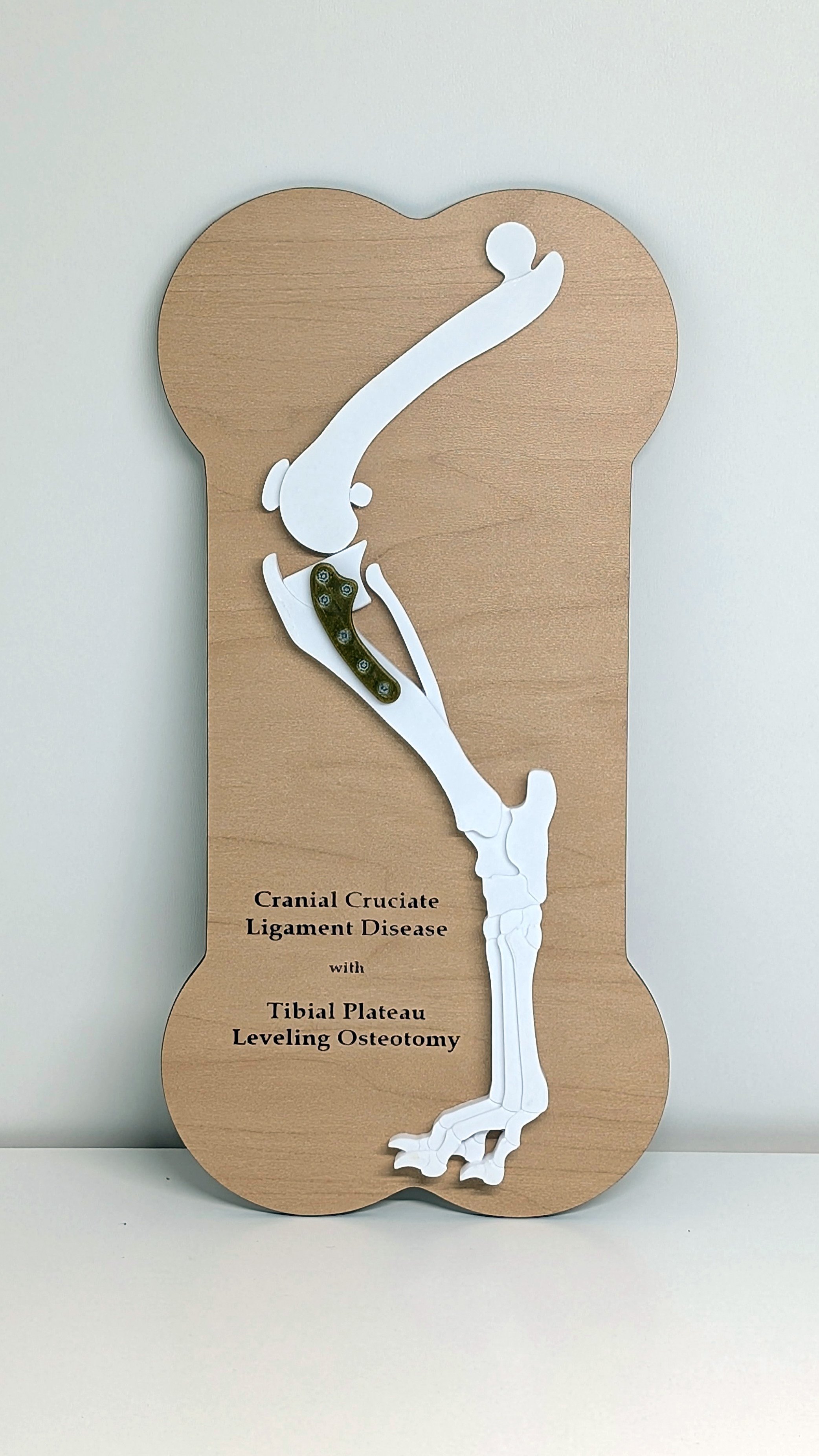 CCL/TPLO Model