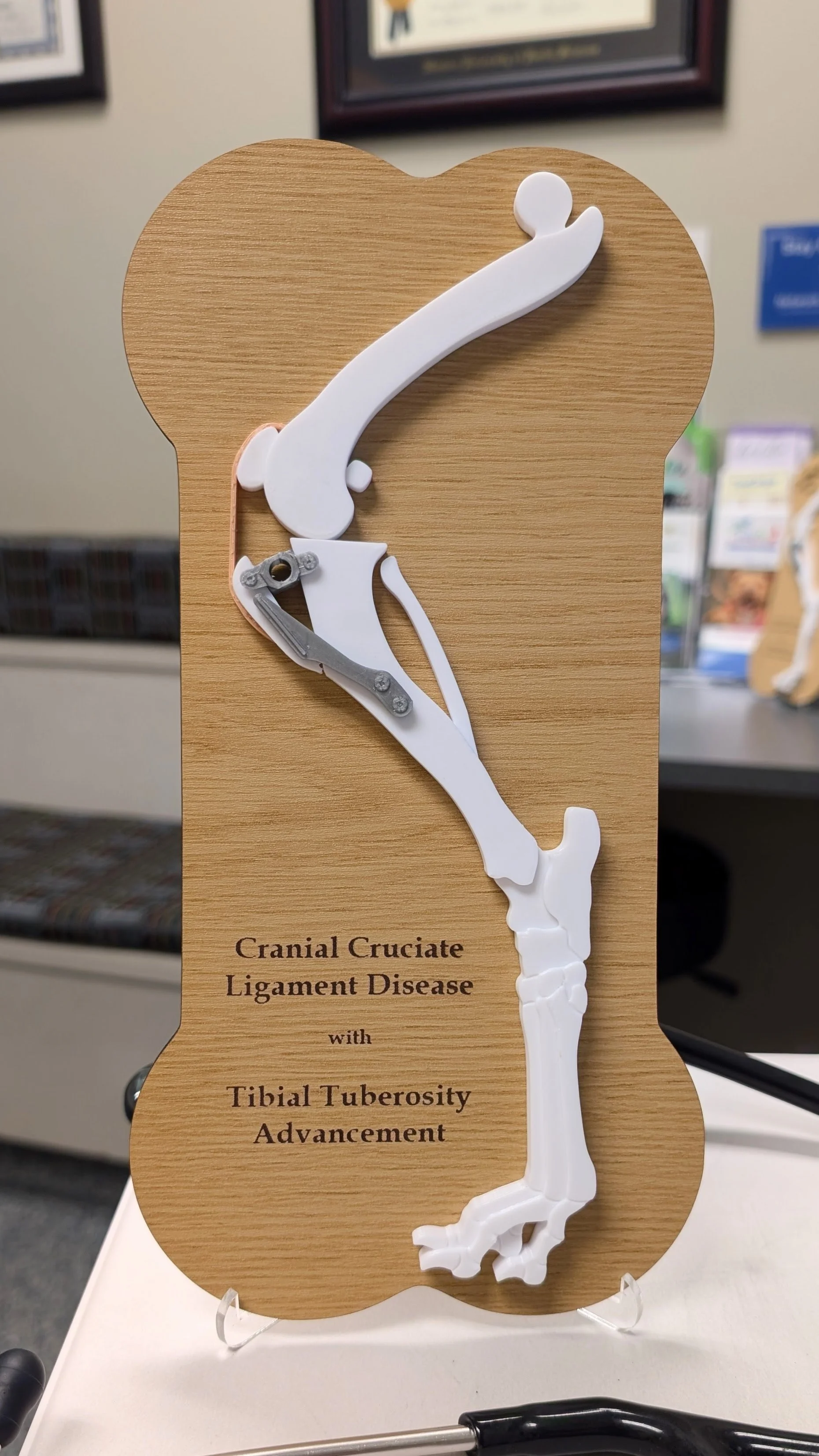 CCL/TTA Model