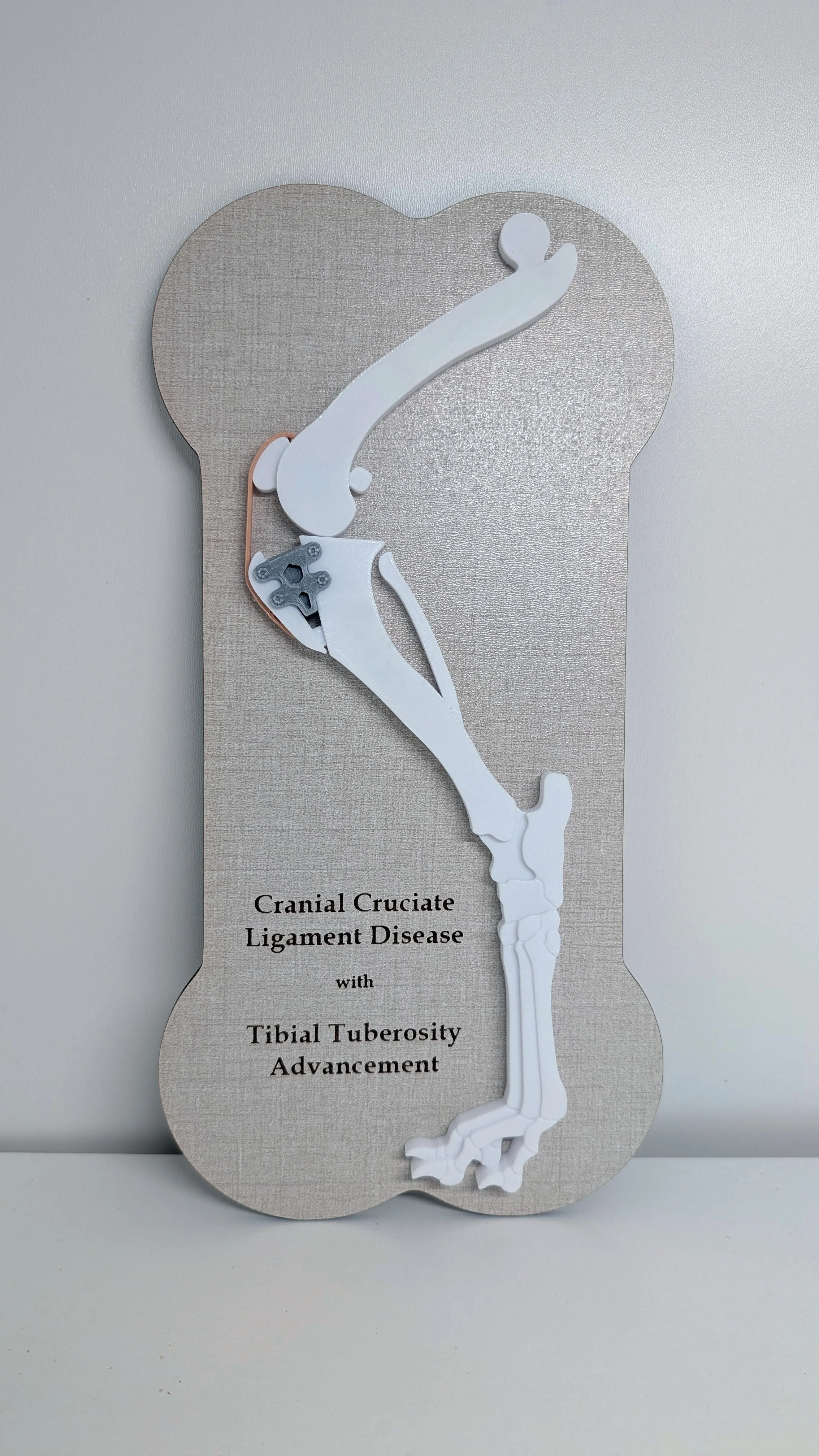 CCL/TTA Model