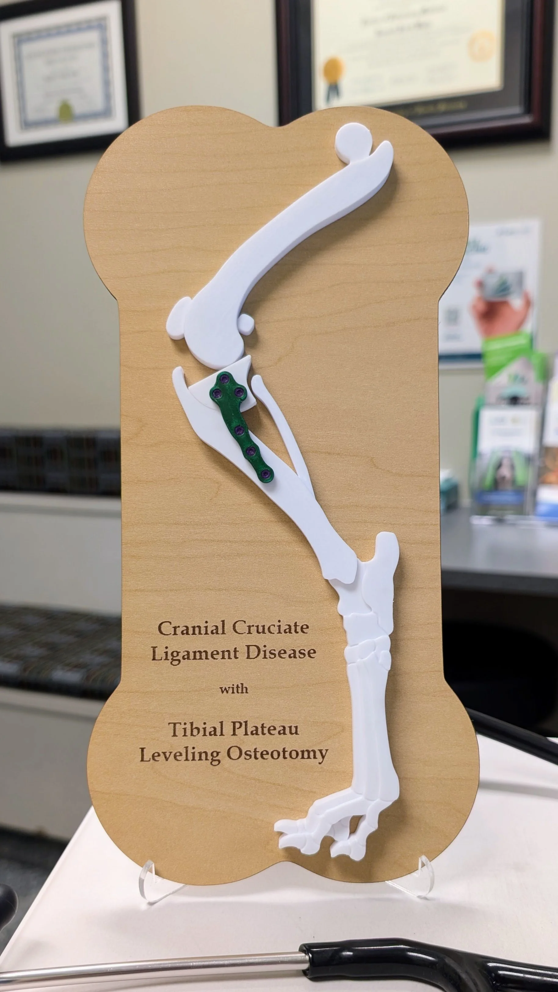 CCL/TPLO Model