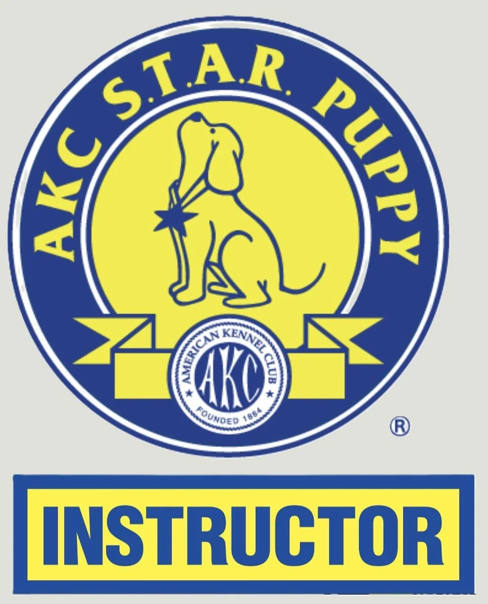 Logo of the AKC S.T.A.R. PUPPY program with a yellow and blue color scheme, featuring a sitting dog with a star in front of its nose, and the word 'INSTRUCTOR' in bold yellow letters.