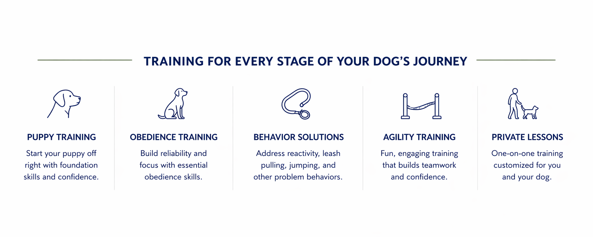 Infographic titled "Training for Every Stage of Your Dog's Journey" with five sections: Puppy Training with a dog icon, Obedience Training with a sitting dog icon, Behavior Solutions with a stethoscope icon, Agility Training with a jump bar icon, and Private Lessons with a person walking a dog icon. Each section has a brief description.