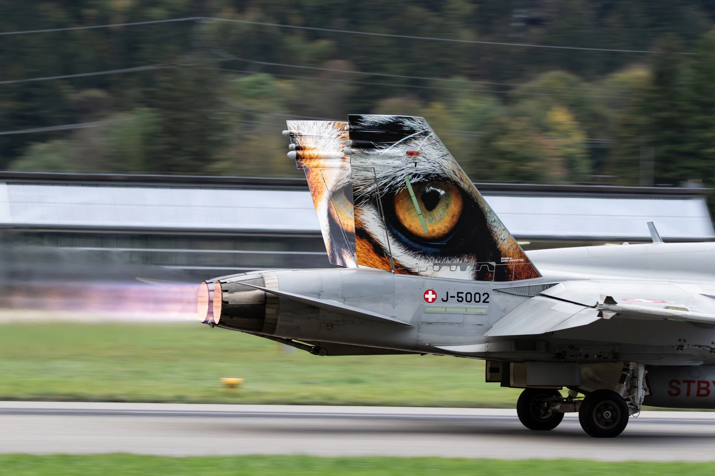 5002 tiger -4.jpg