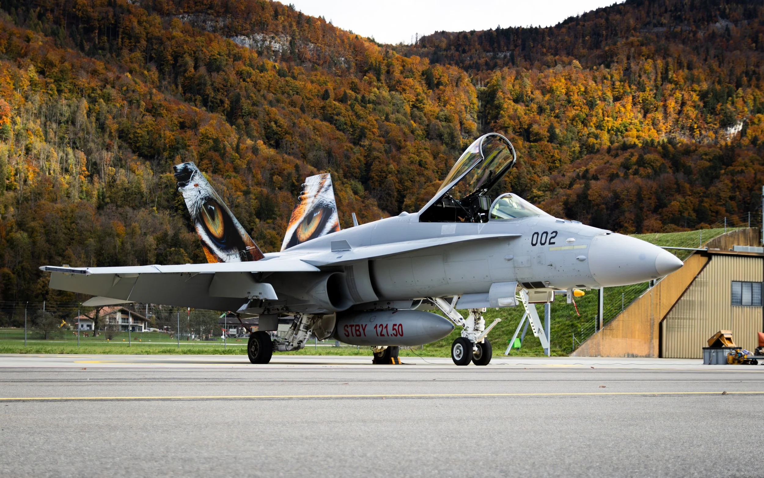 F/A-18 Hornet