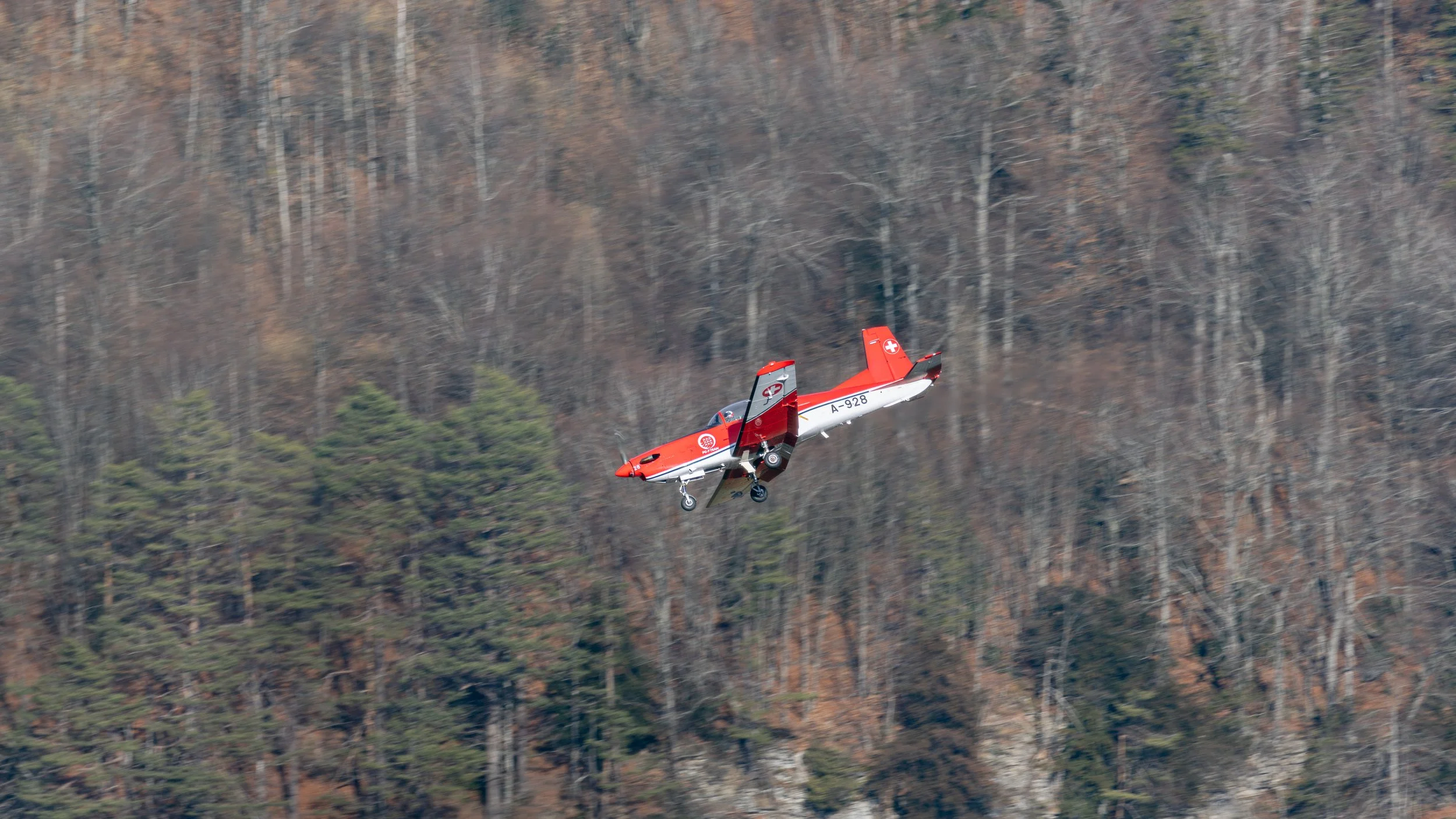 Unbenannt-2-3.jpg