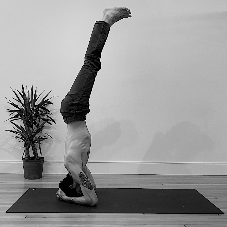 Person performing a headstand yoga pose indoors with a potted plant in the background.