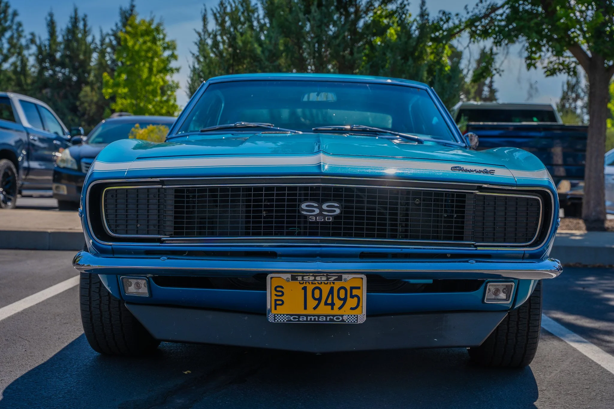 A7C05238.jpg