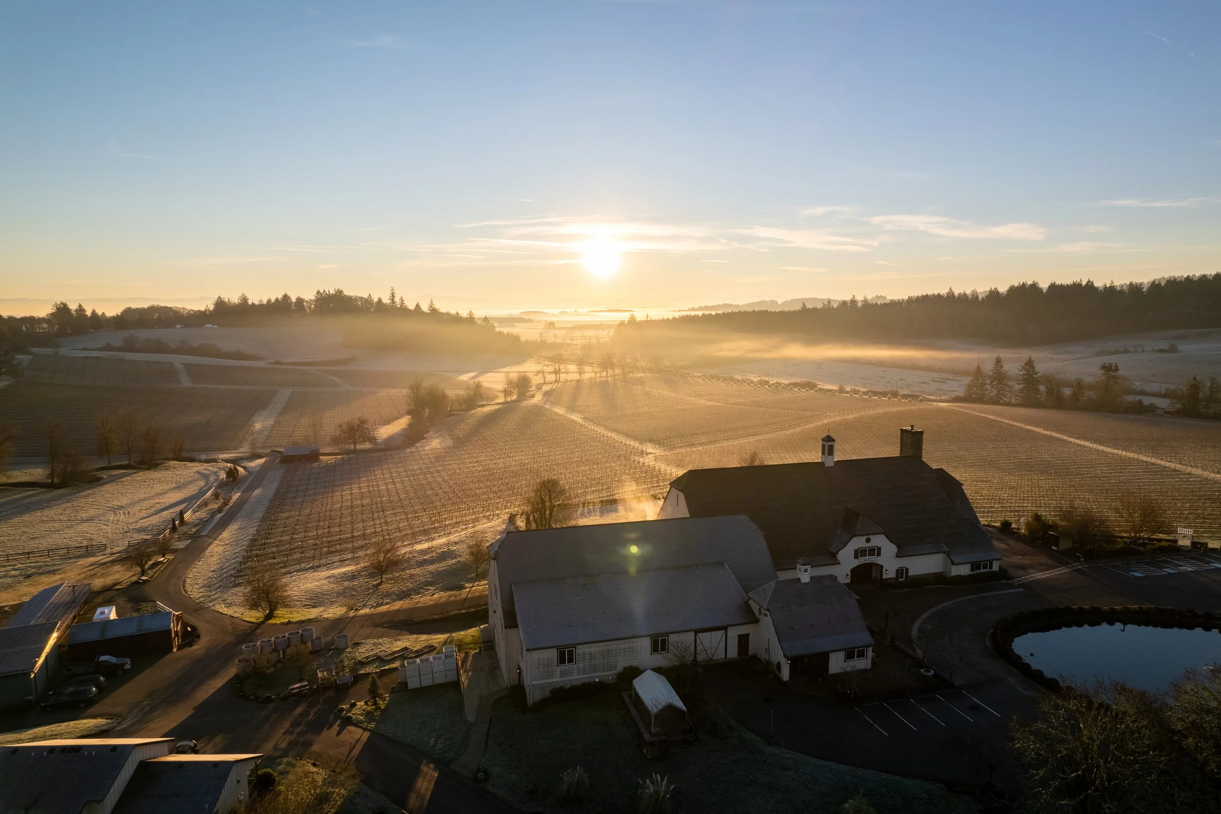 DJI_0276-HDR.jpg
