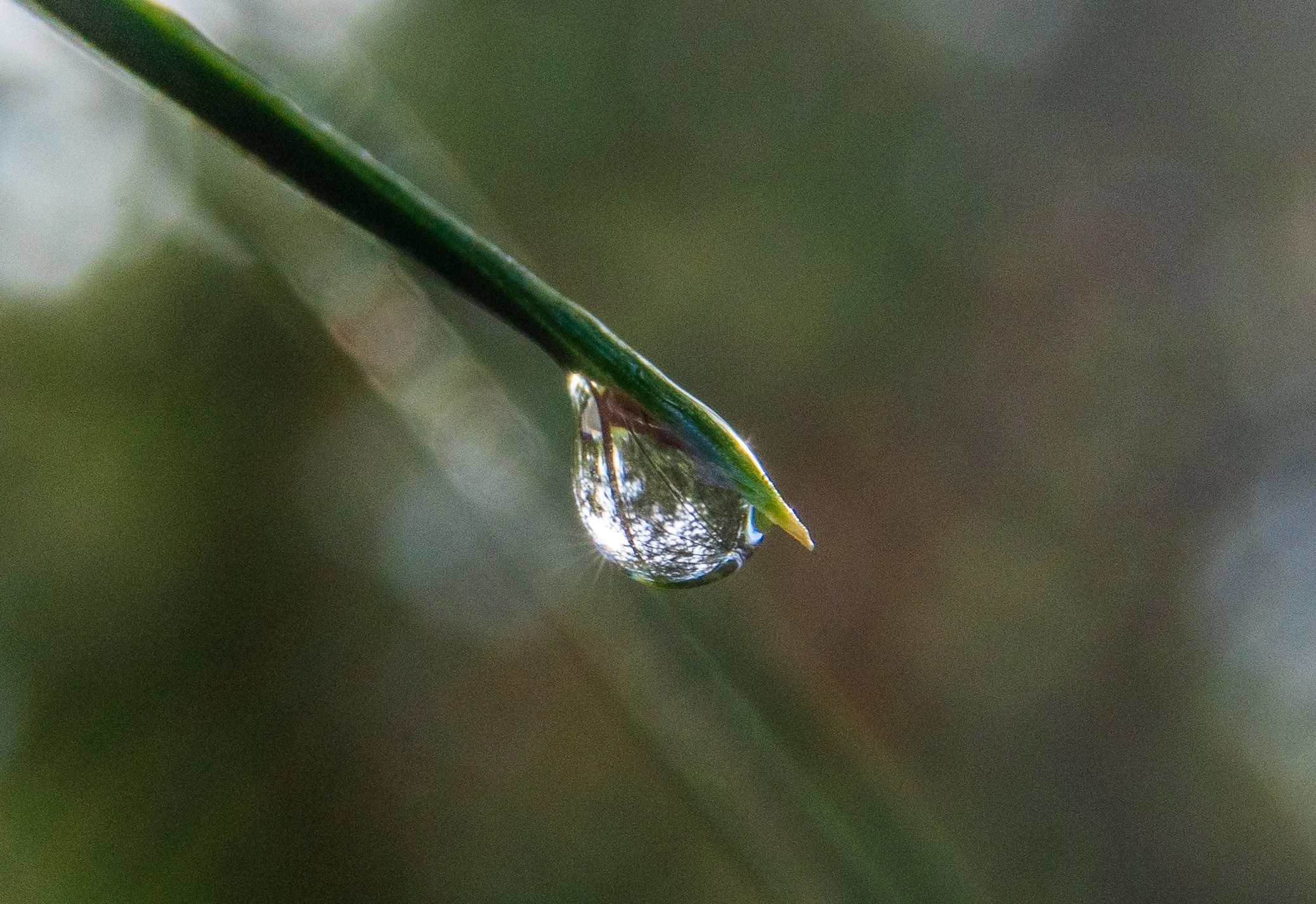 A7C03653.jpg