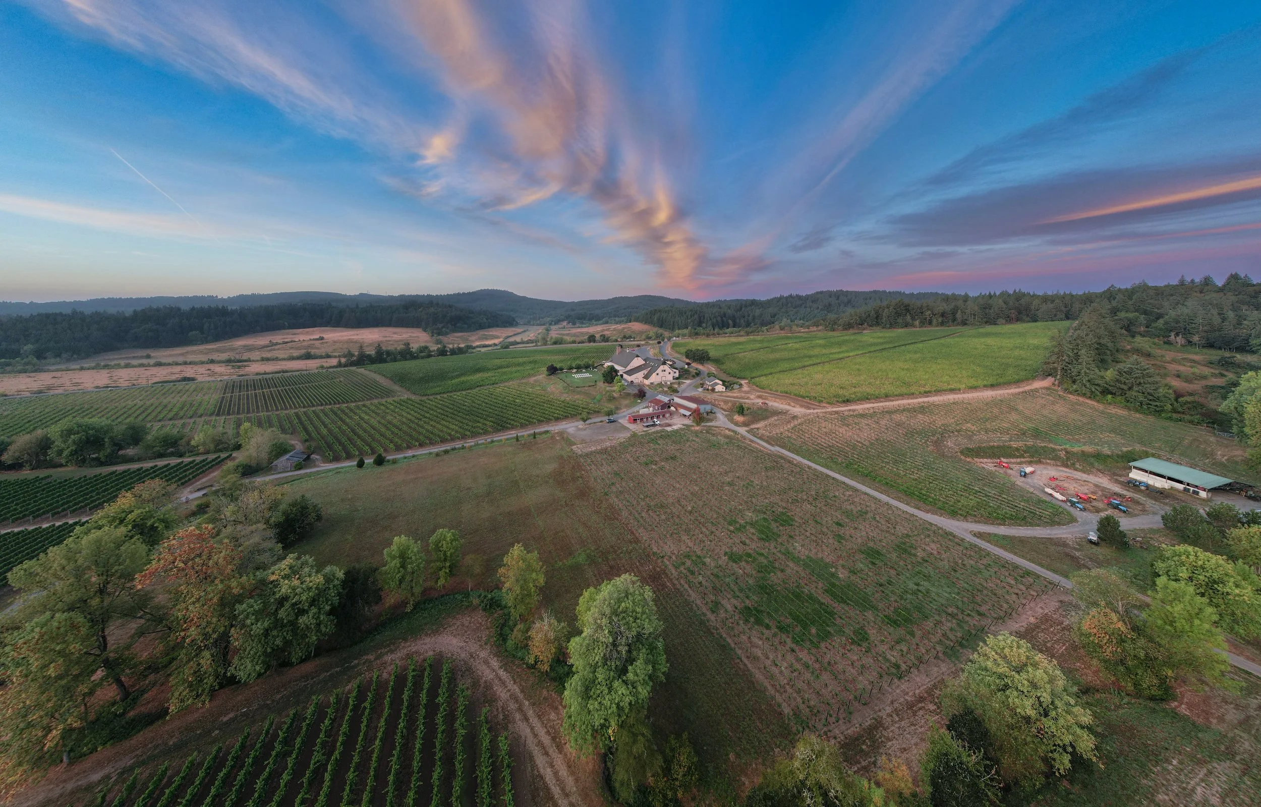 DJI_0605-2.jpeg
