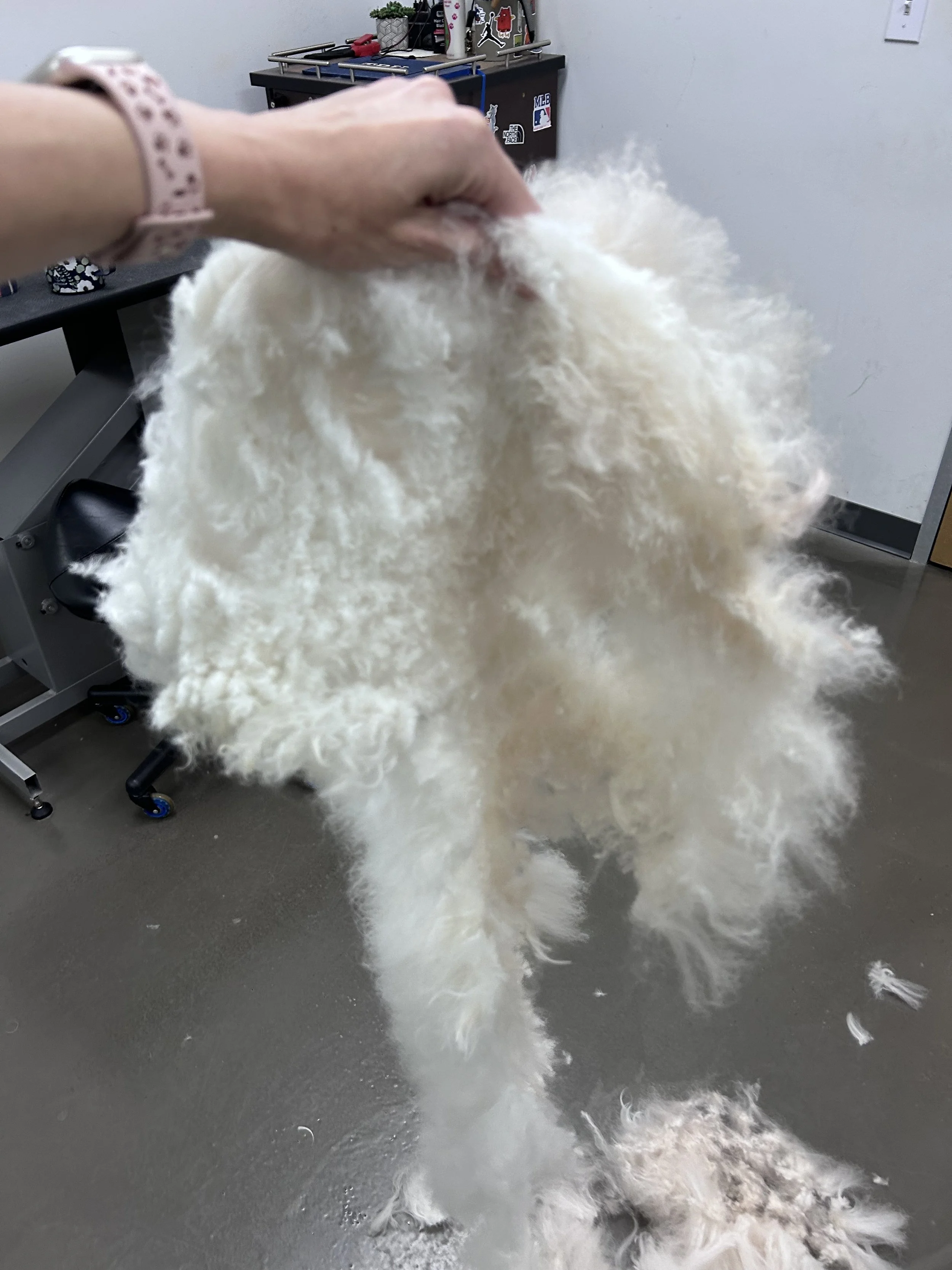 Matting 101: What Every Parent Should Know