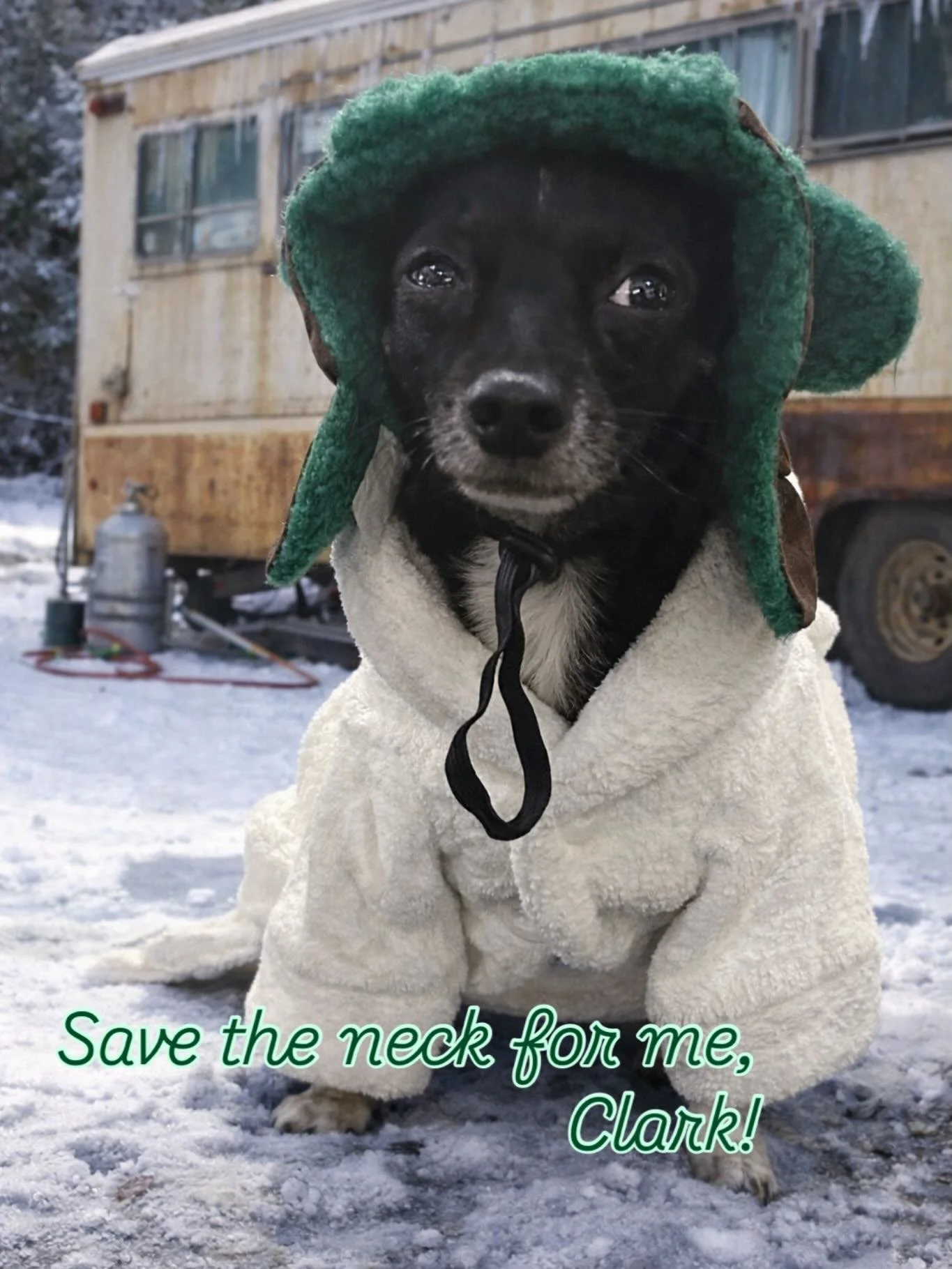 &ldquo;Sh!+er&rsquo;s Full!&rdquo; Happy Holidays from our lil cousin Eddie (Digby). #nationallampoonschristmasvacation #cousineddie #clarkgriswald #digbychloe #digbyandchloe