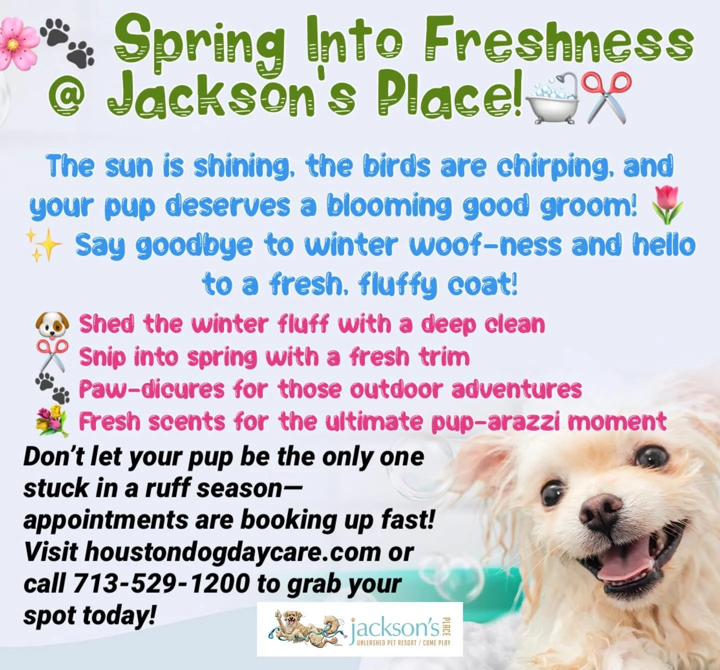 Who's ready for a paw-some day? Secure your dog's grooming appointment today!!! Visit www.houstondogdaycare.com or call 713-529-1200! @jacksonsmidtown