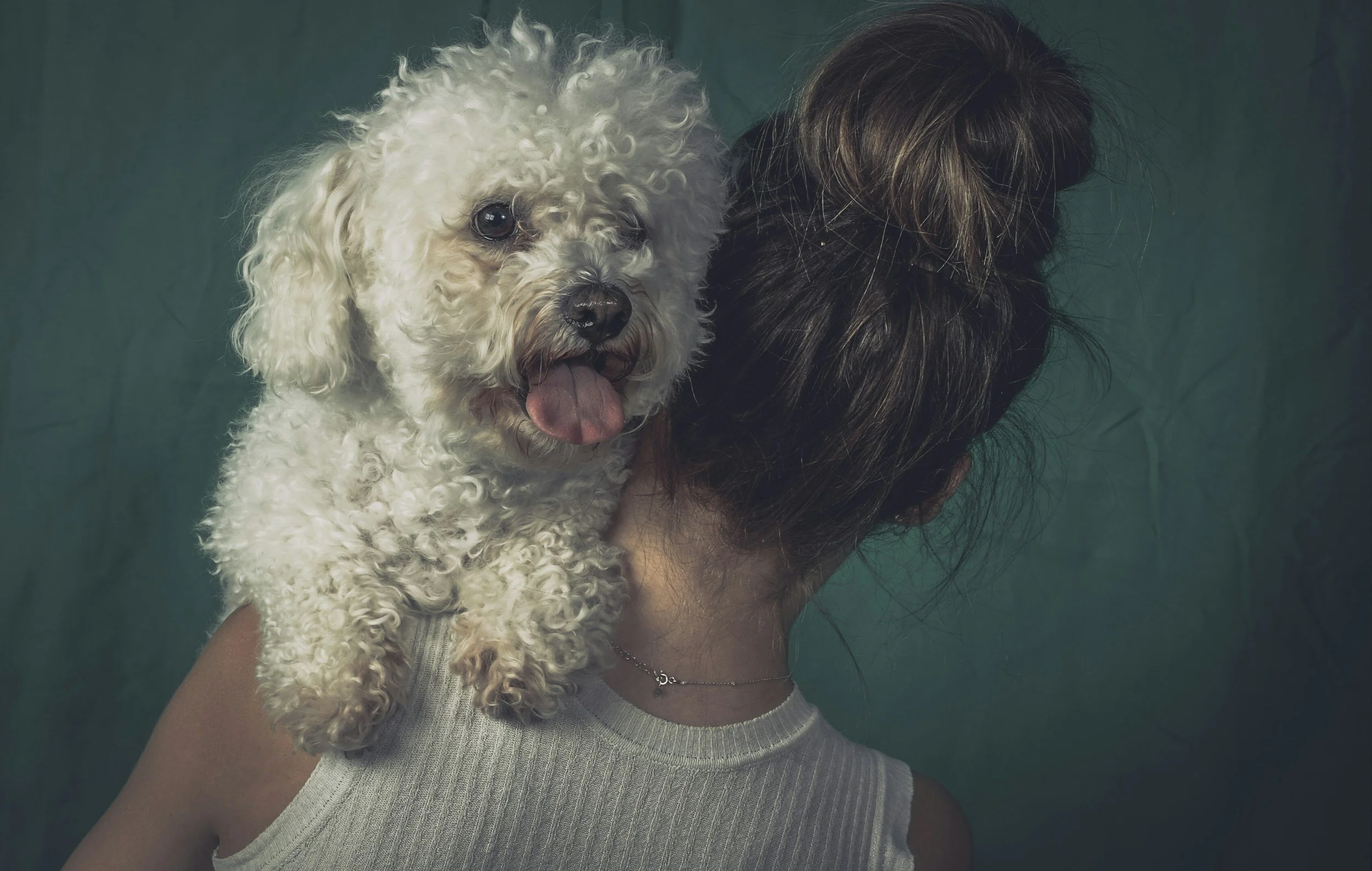  What Kind of Dog Parent Are You During Grooming?