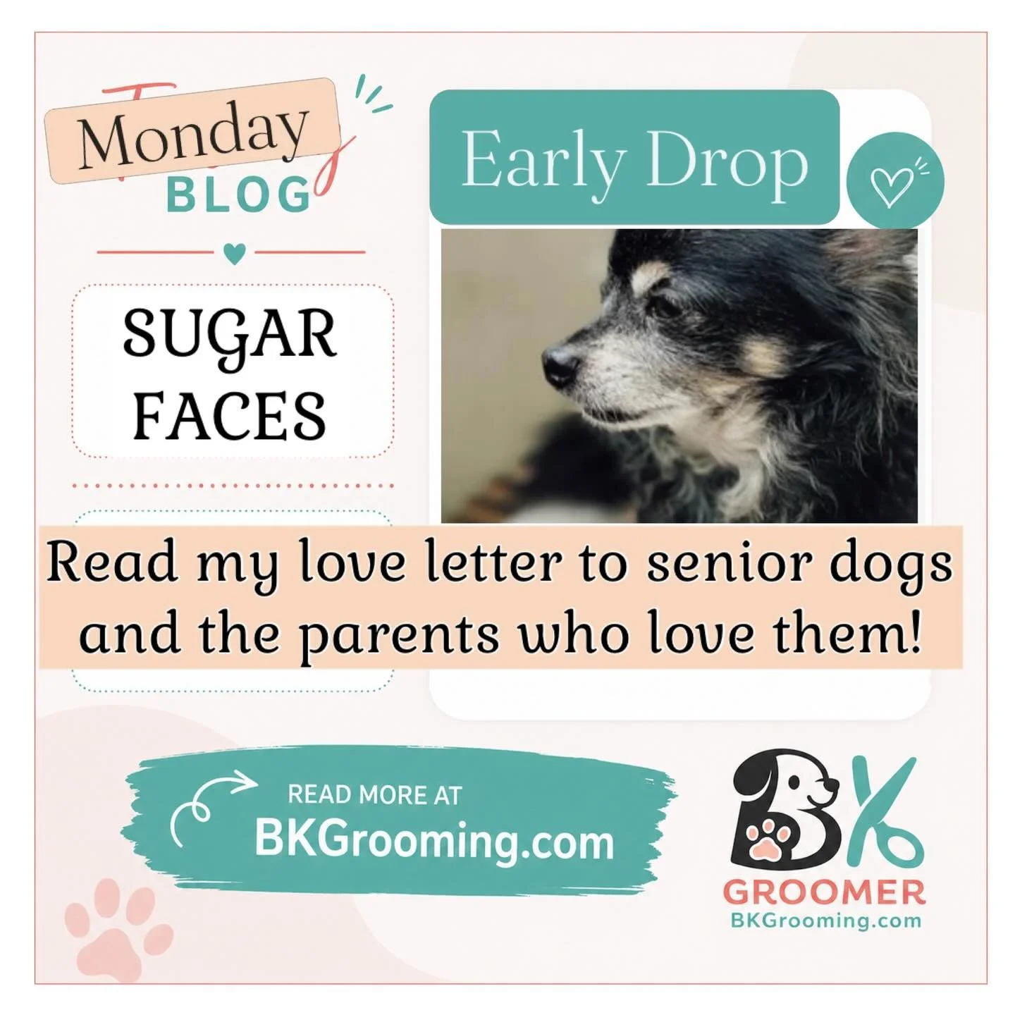 Some people say a dog&rsquo;s face turns white because we&rsquo;ve been kissing the color off over the years. Others call it a &ldquo;sugar face,&rdquo; as if all the sweetness they&rsquo;ve given us slowly settles into their fur. And honestly? After