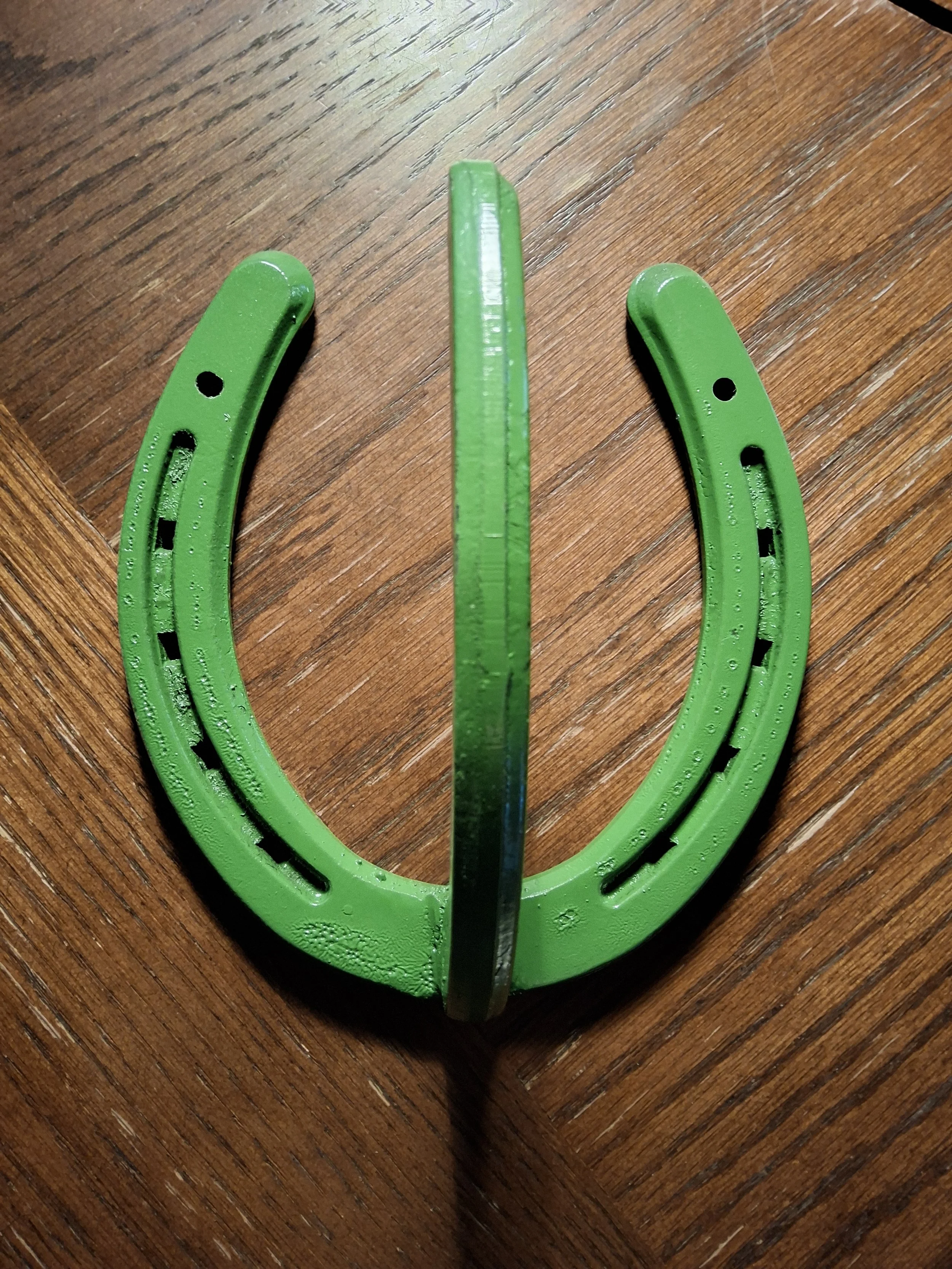 Lead rope / halter hanger