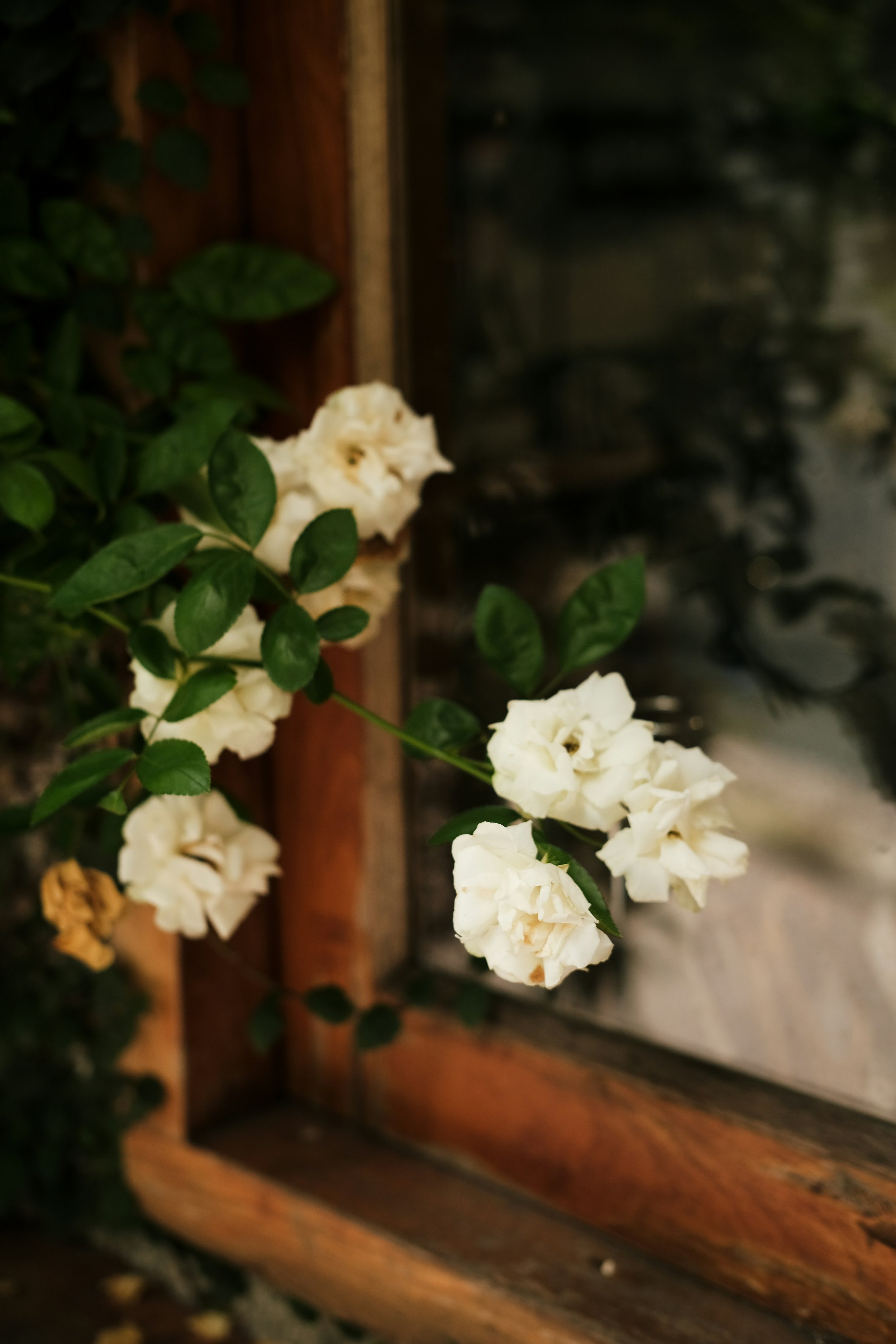 duong-ngan-LtVbVxwD9Xo-unsplash (1).jpg