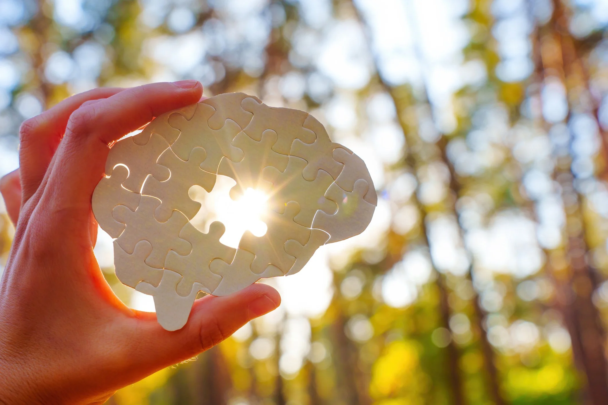 A hand holding a paper puzzle piece cutout of a brain with a hole in the center, sunlight shining through the hole, and a blurred background of trees.
